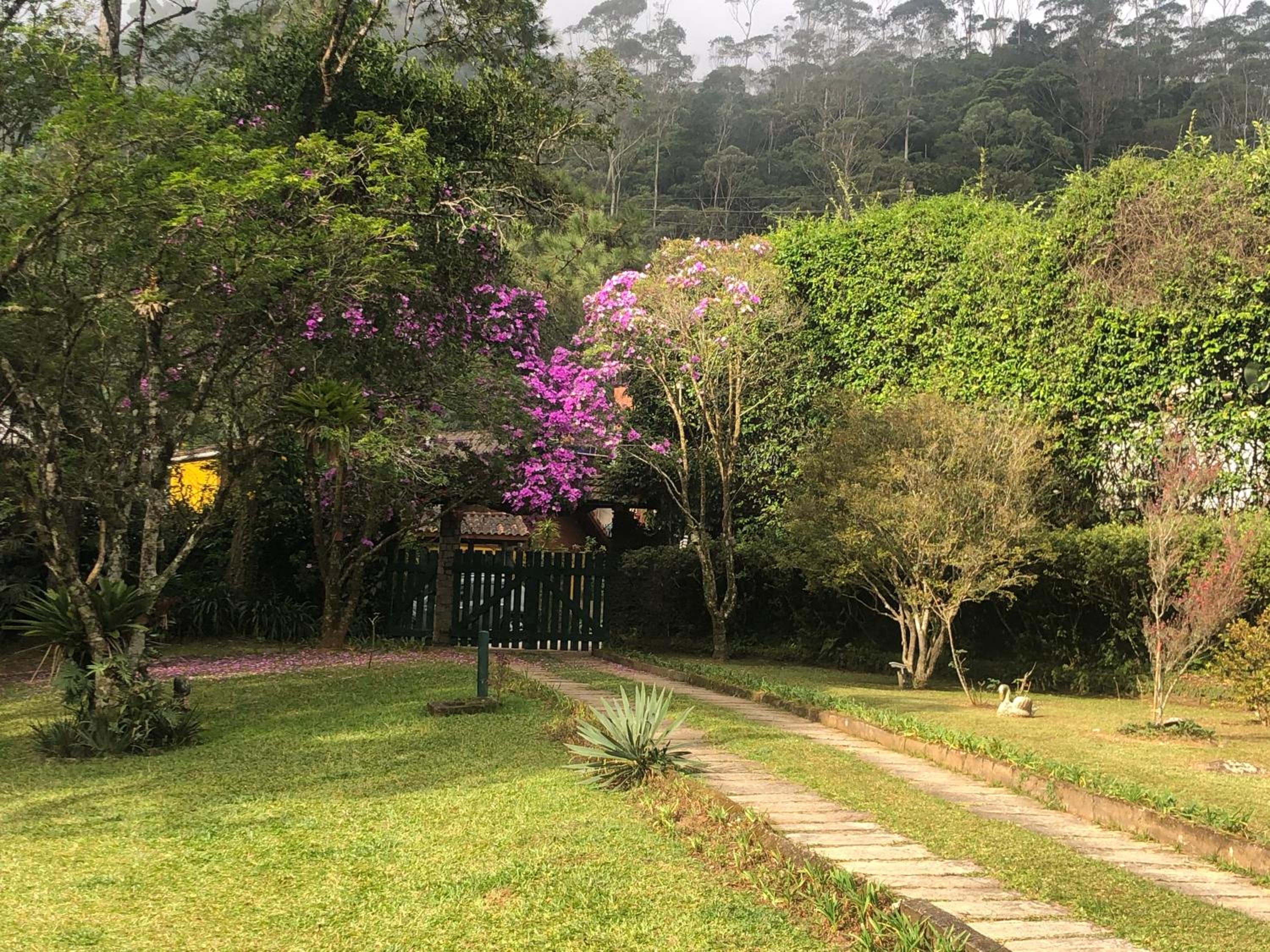 SITIO SIMPLESMENTE DEMAIS