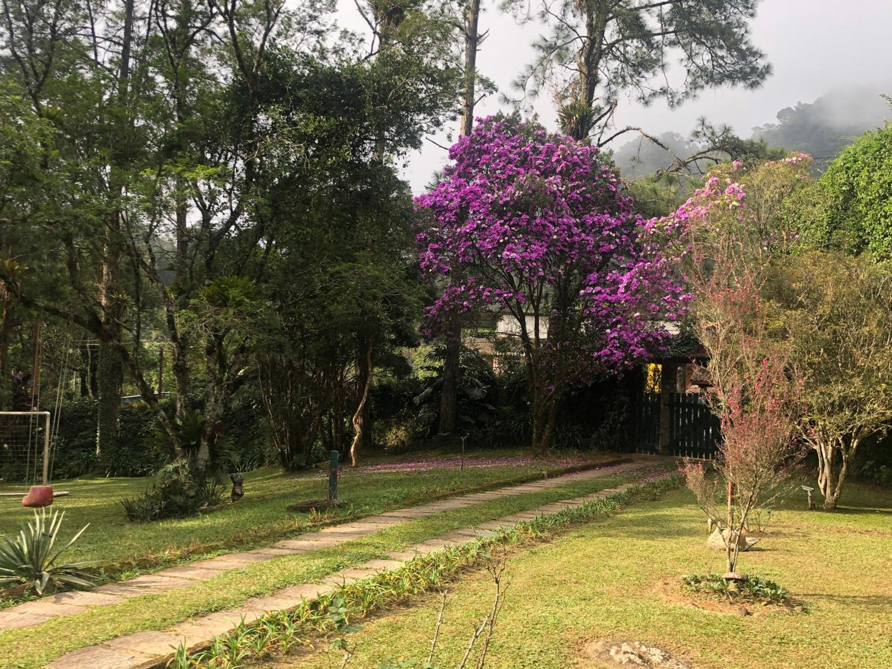 SITIO SIMPLESMENTE DEMAIS