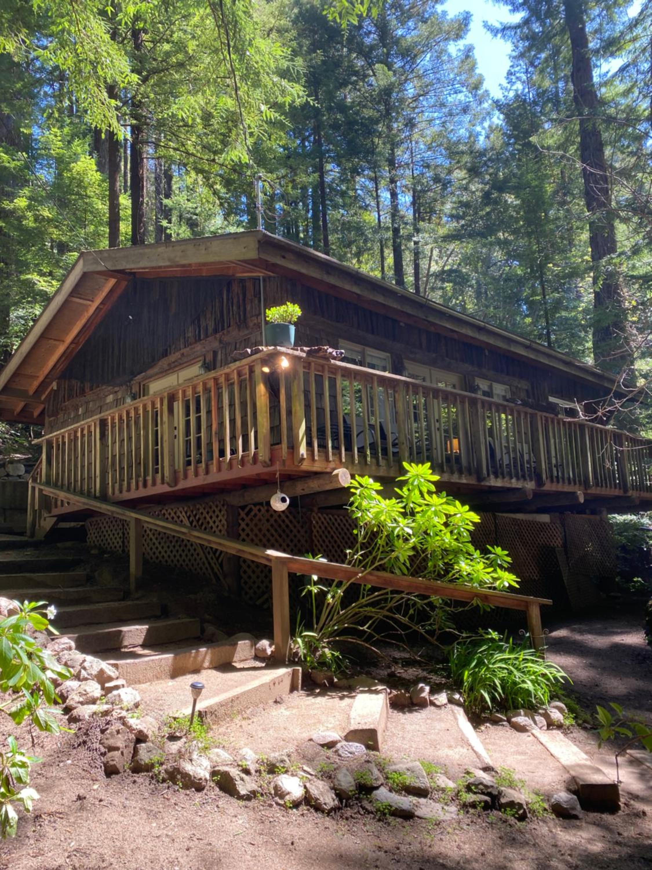 Magical Cabin Retreat in the Redwoods!! view 3