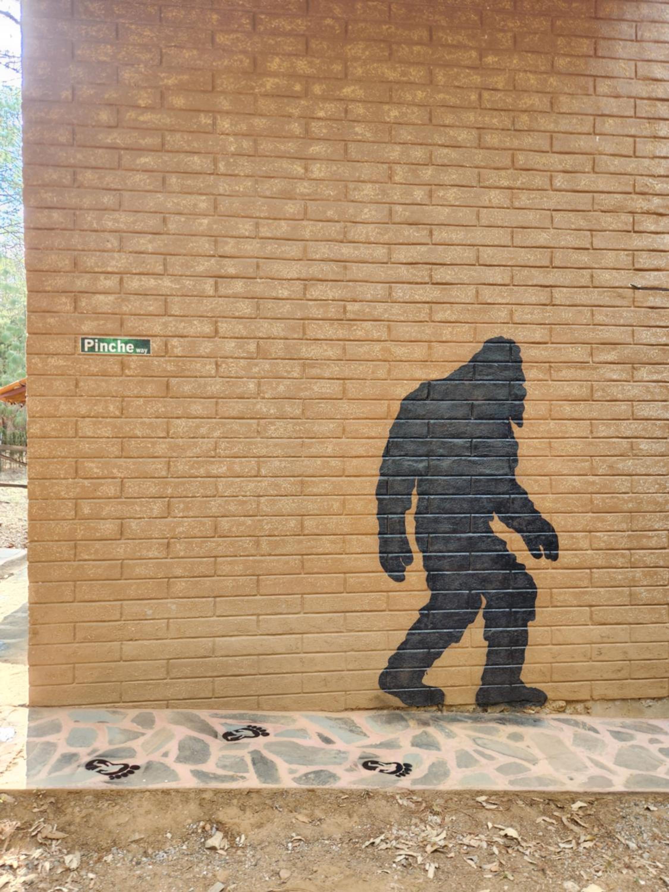 Cabaña Sasquatch