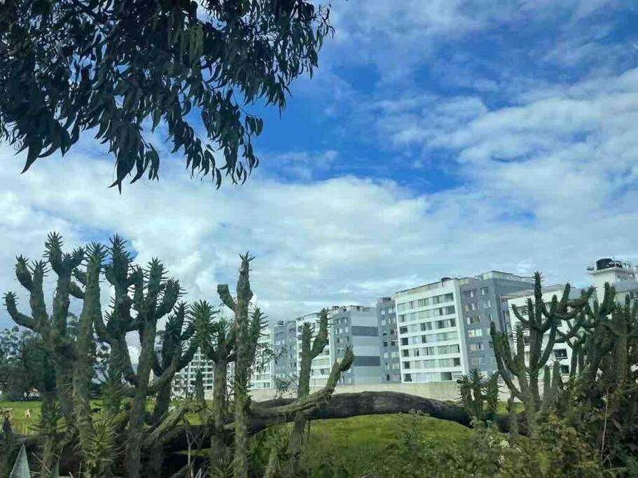 Departamento - Praderas Park view 5