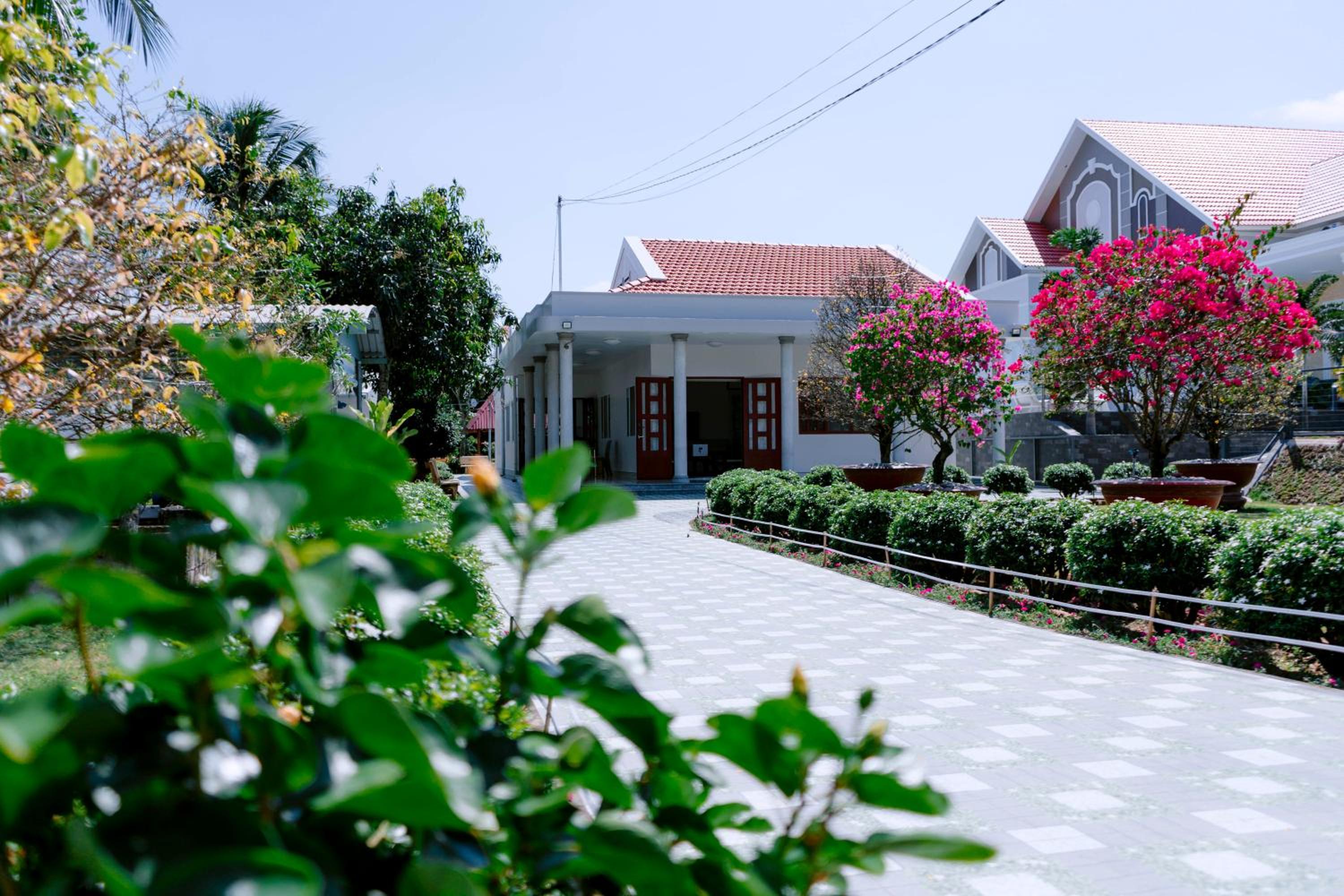 Photo 6
