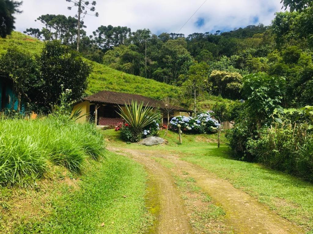 Casa Pereira