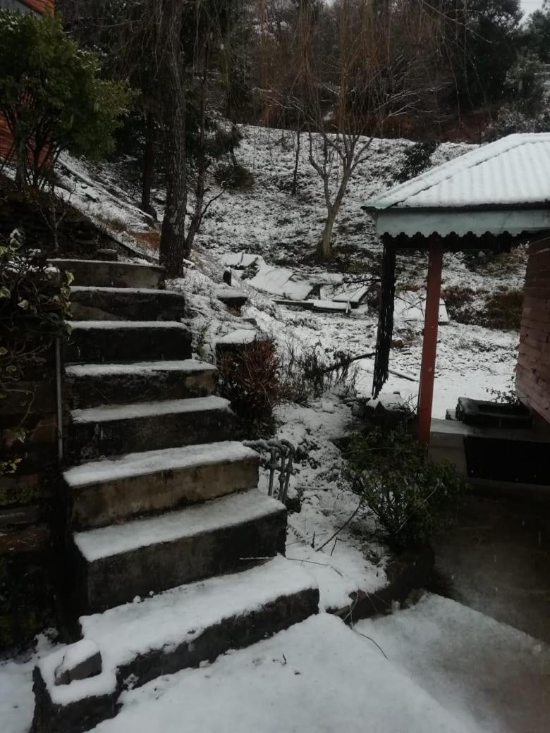 Photo 22