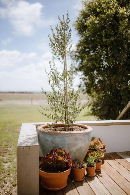 The Pines Barwon Heads