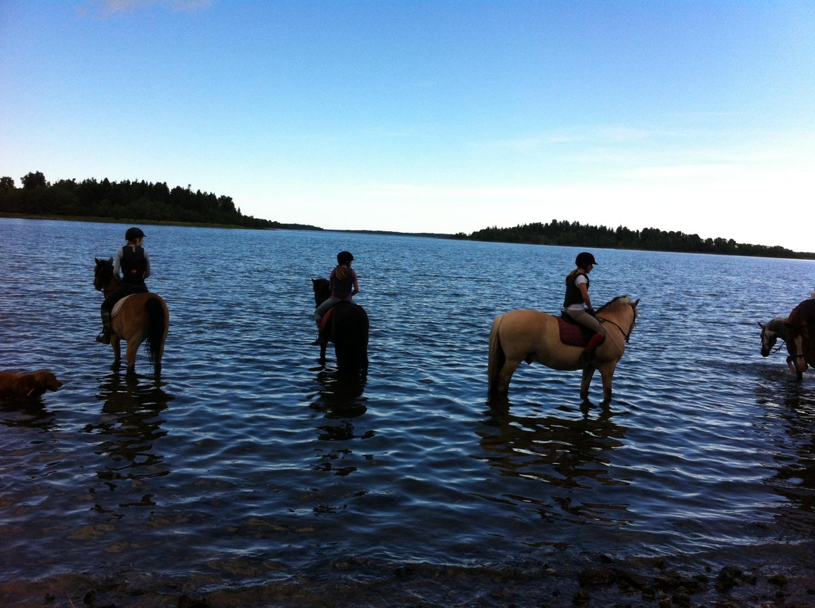 Photo 41