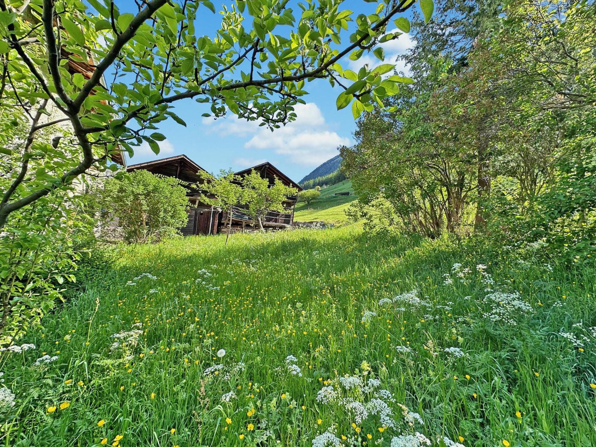 La Maison du Bassin - Grand St Bernard - Orsieres
