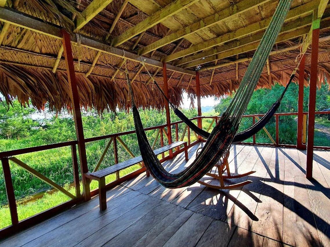 amazon jaguar lodge view 3
