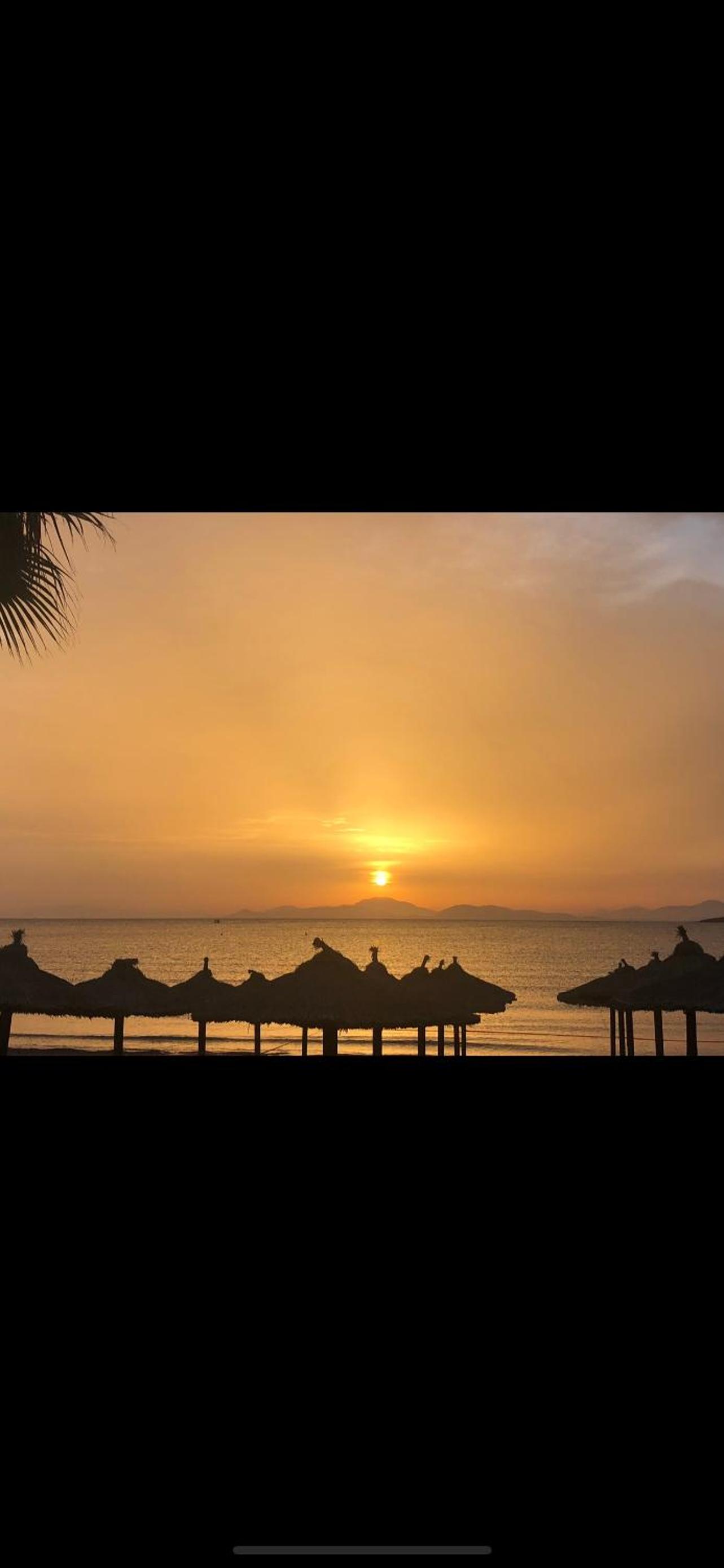 Kavouri Retreat, Only pines hide the sea