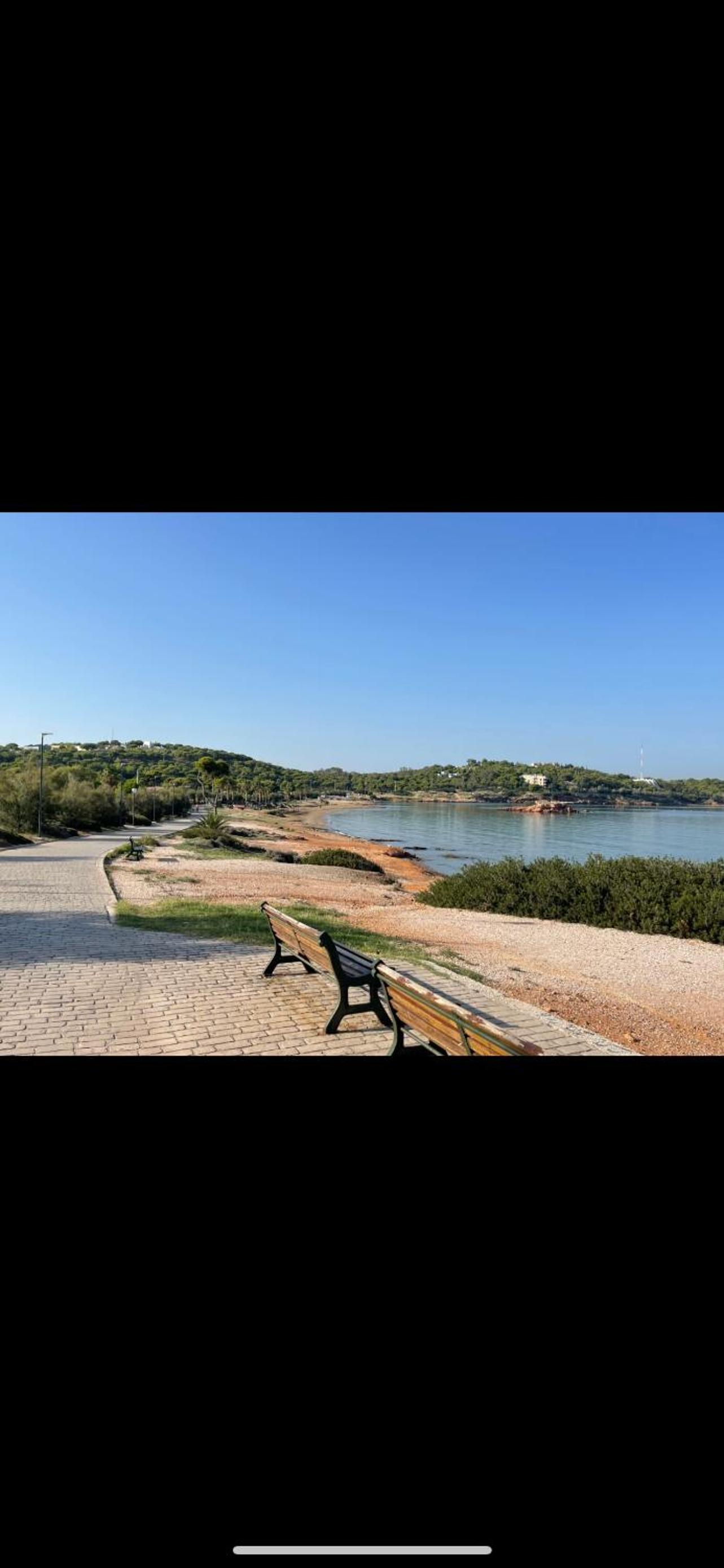 Kavouri Retreat, Only pines hide the sea