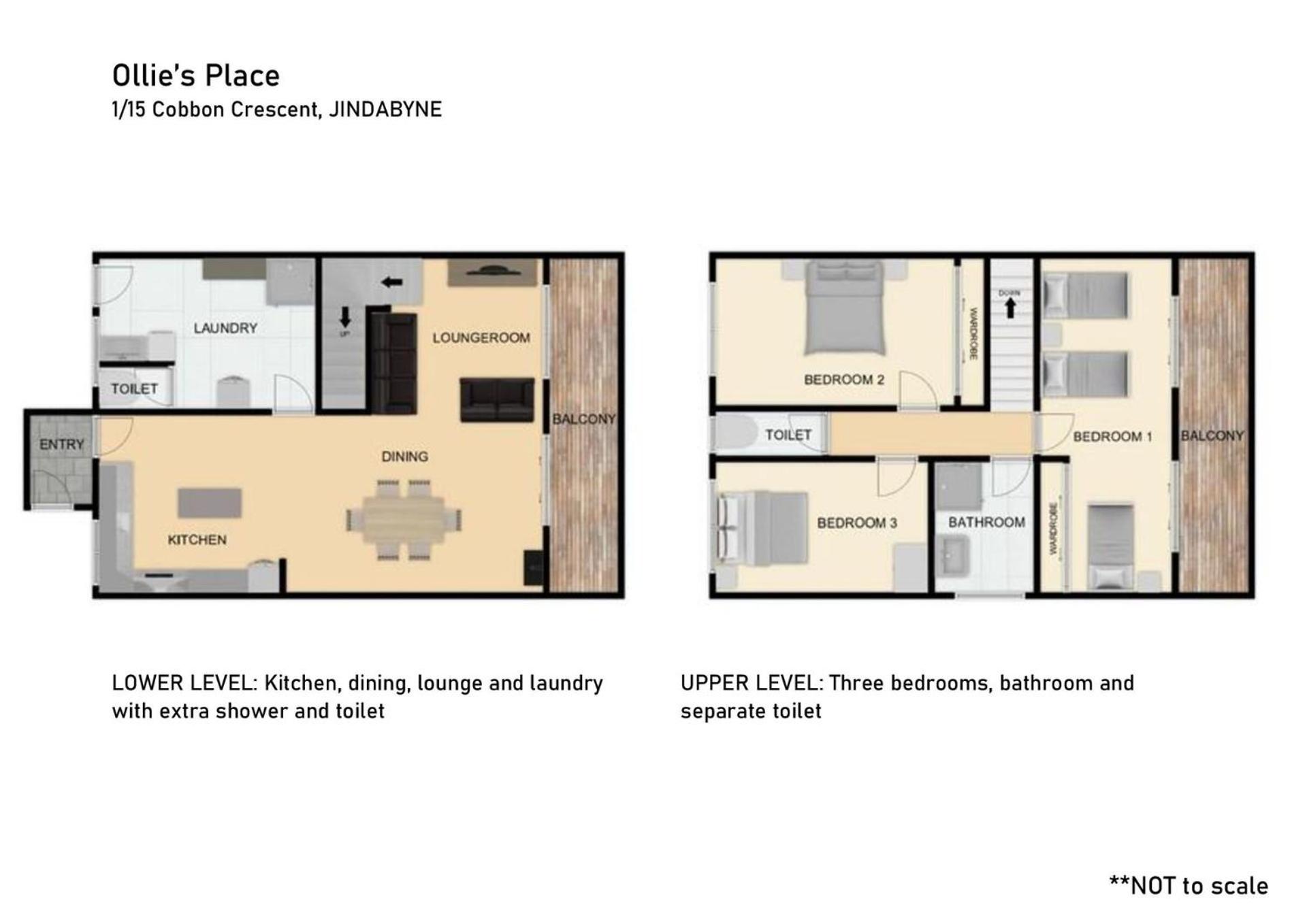 Ollies Place