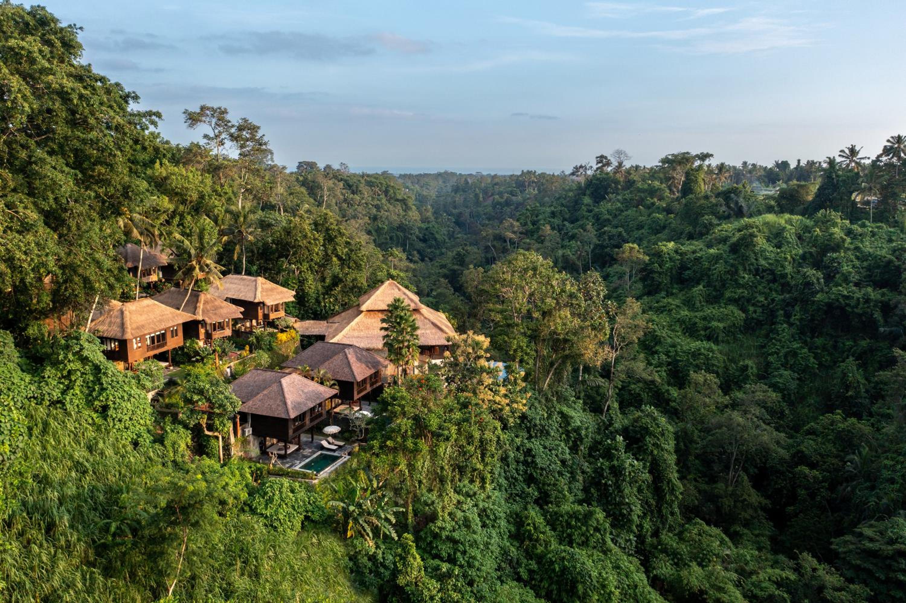 Natura Resort and Spa Ubud view 2