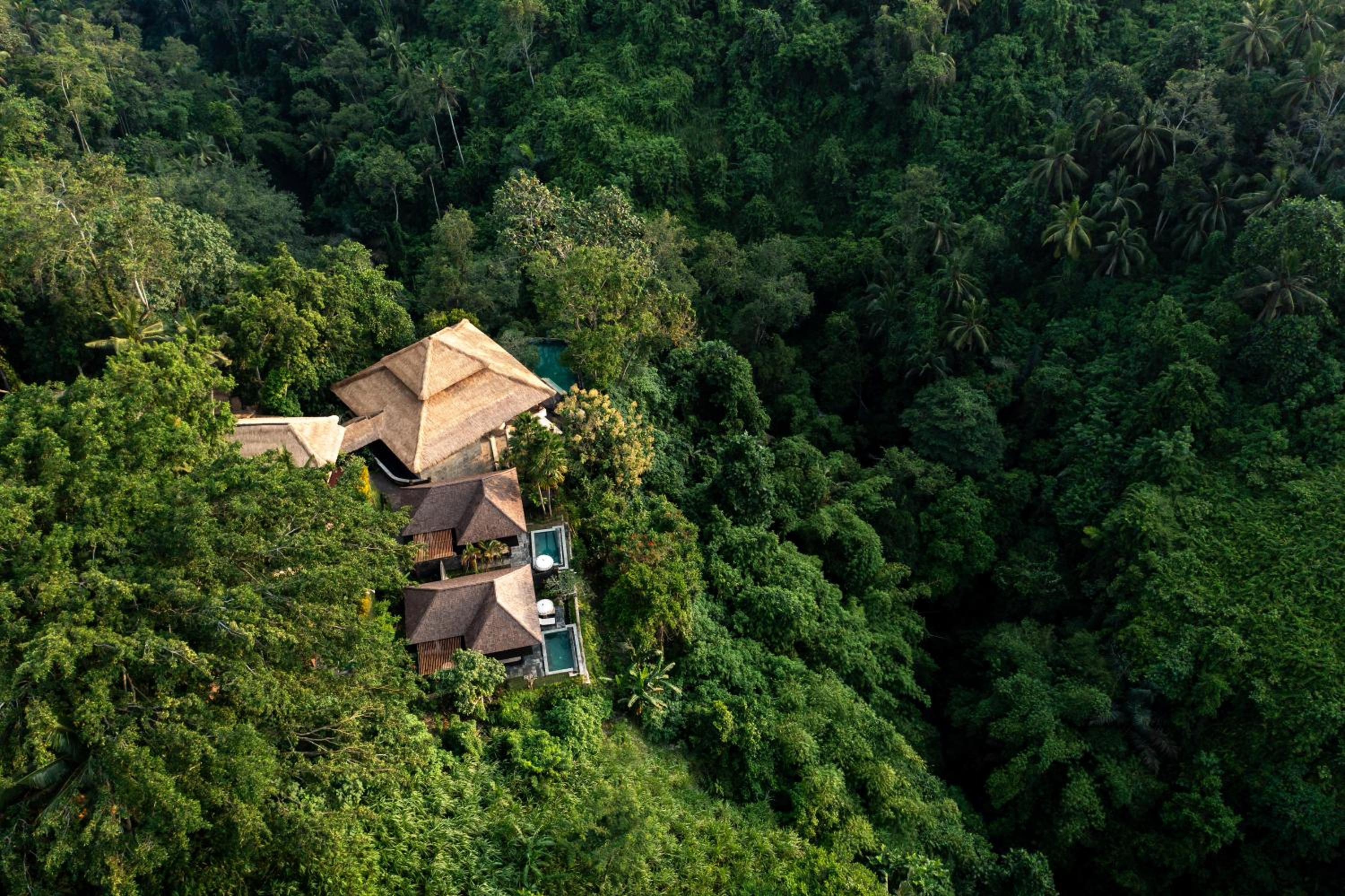 Natura Resort and Spa Ubud view 4