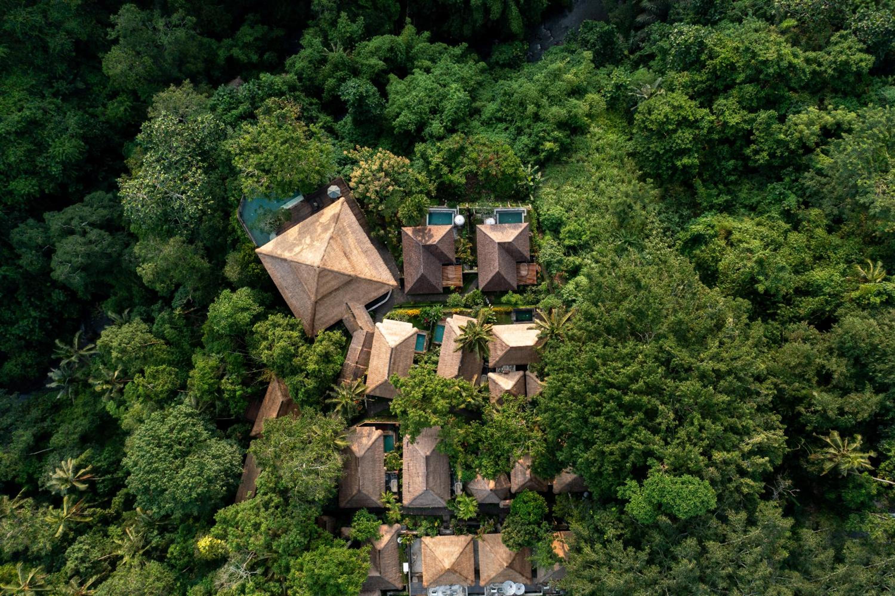 Natura Resort and Spa Ubud view 5