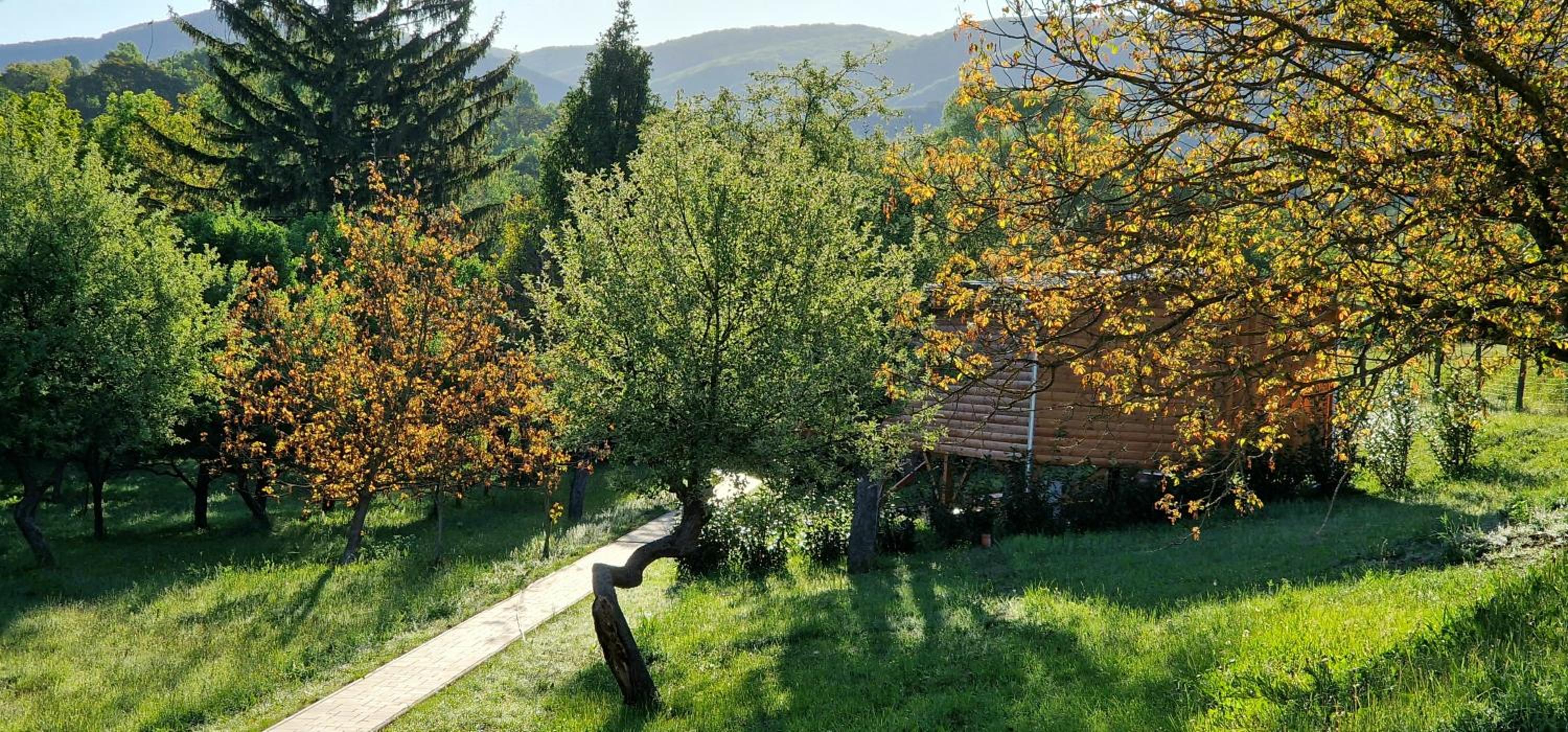 Photo 47