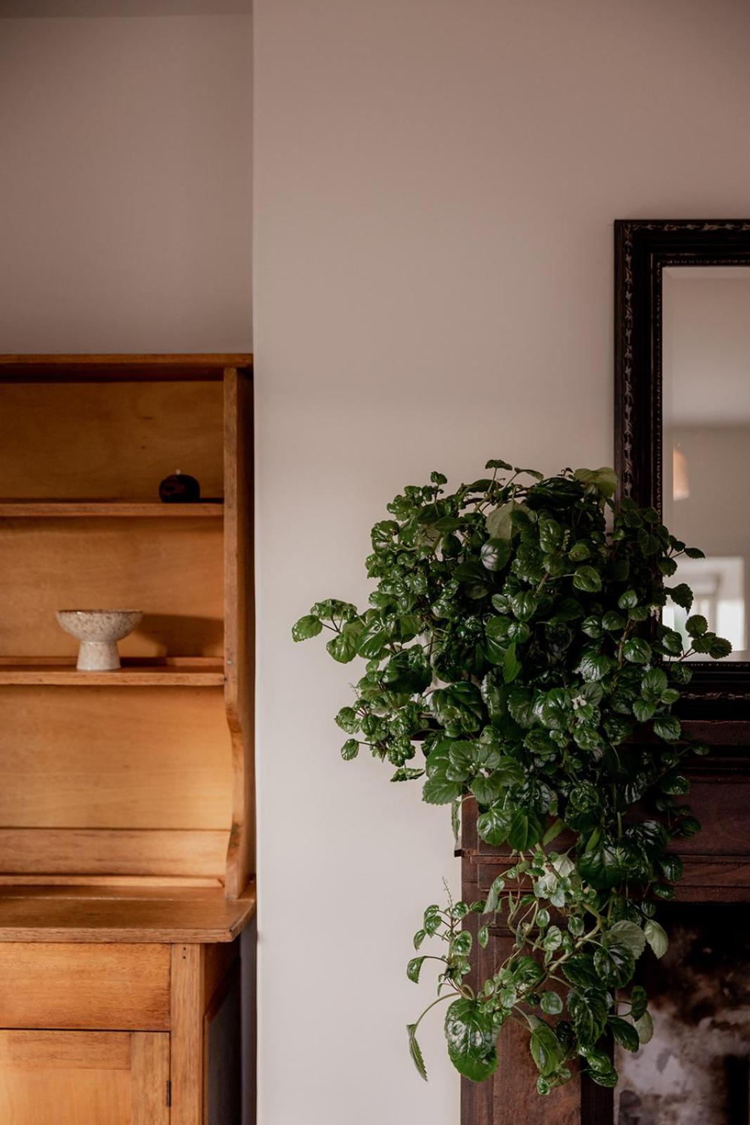 Cosy Heritage Cottage in West Hobart