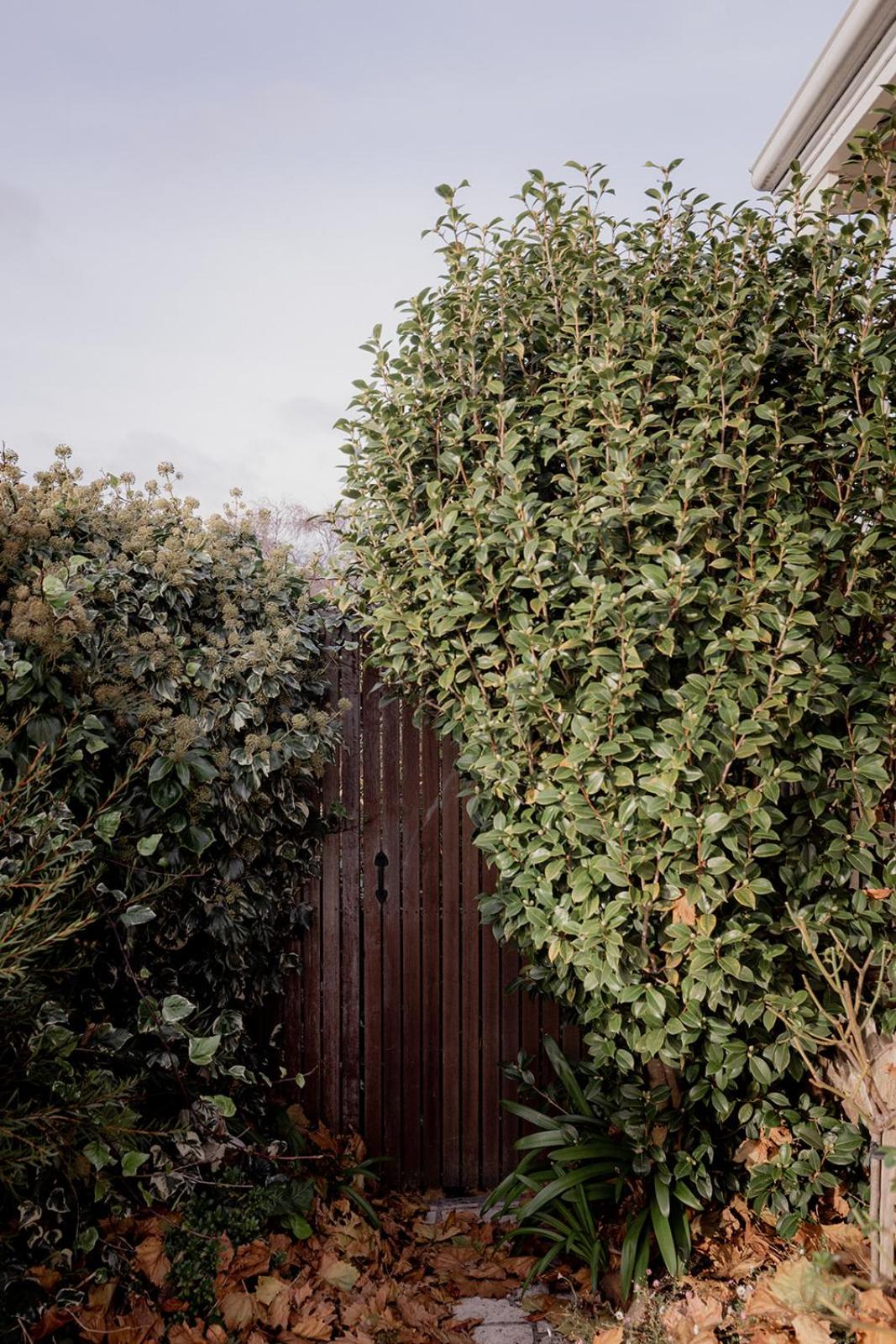 Cosy Heritage Cottage in West Hobart