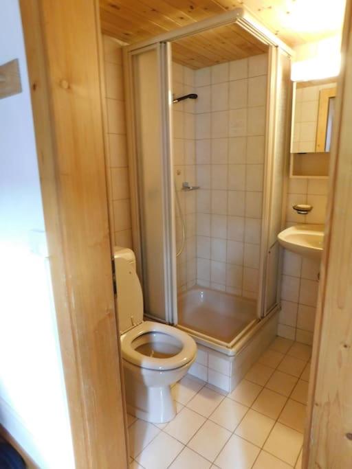 Chalet Schneeflöckli