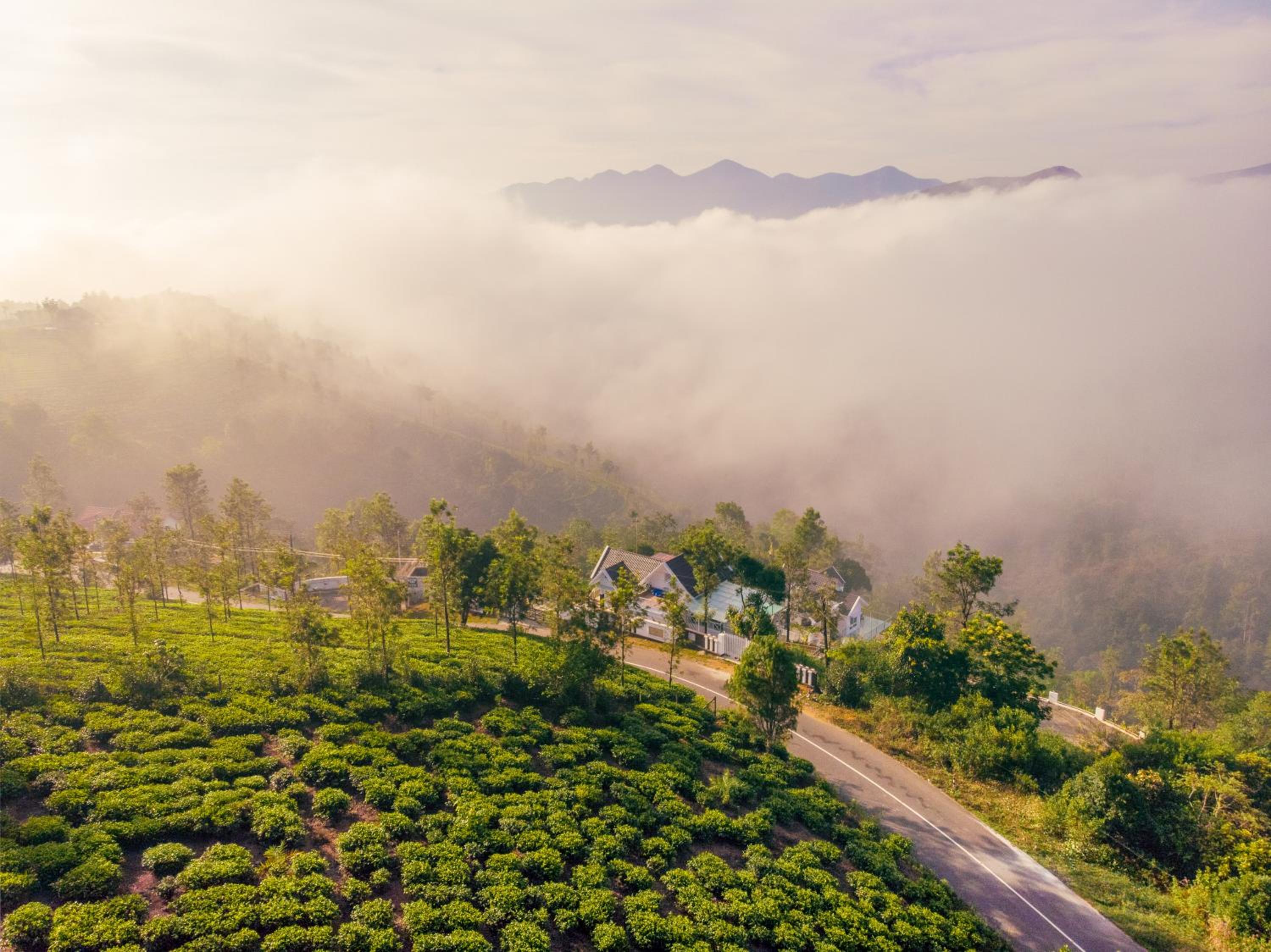 Casa Oliv, Vagamon view 3