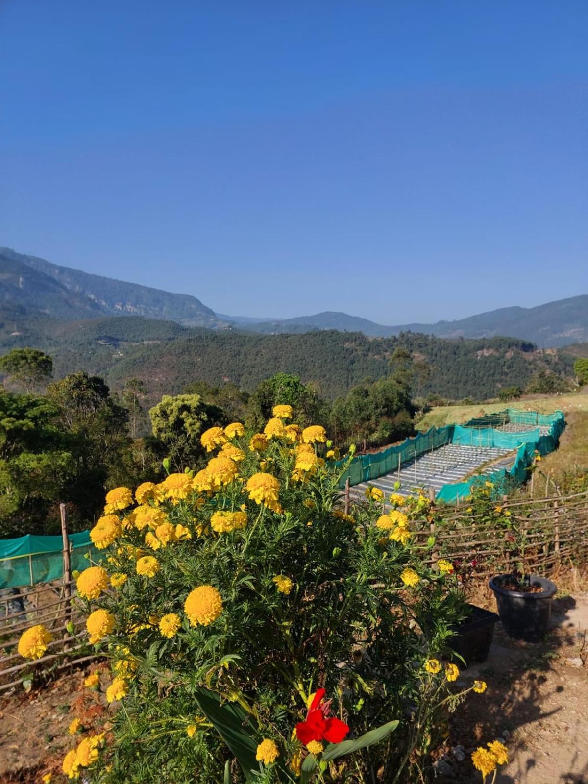 Alfa Rain Forest Vattavada view 3