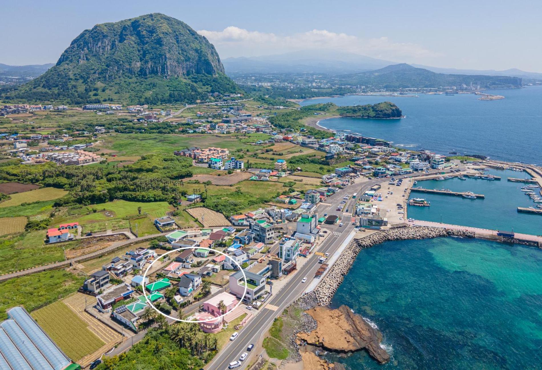 Rein Jeju