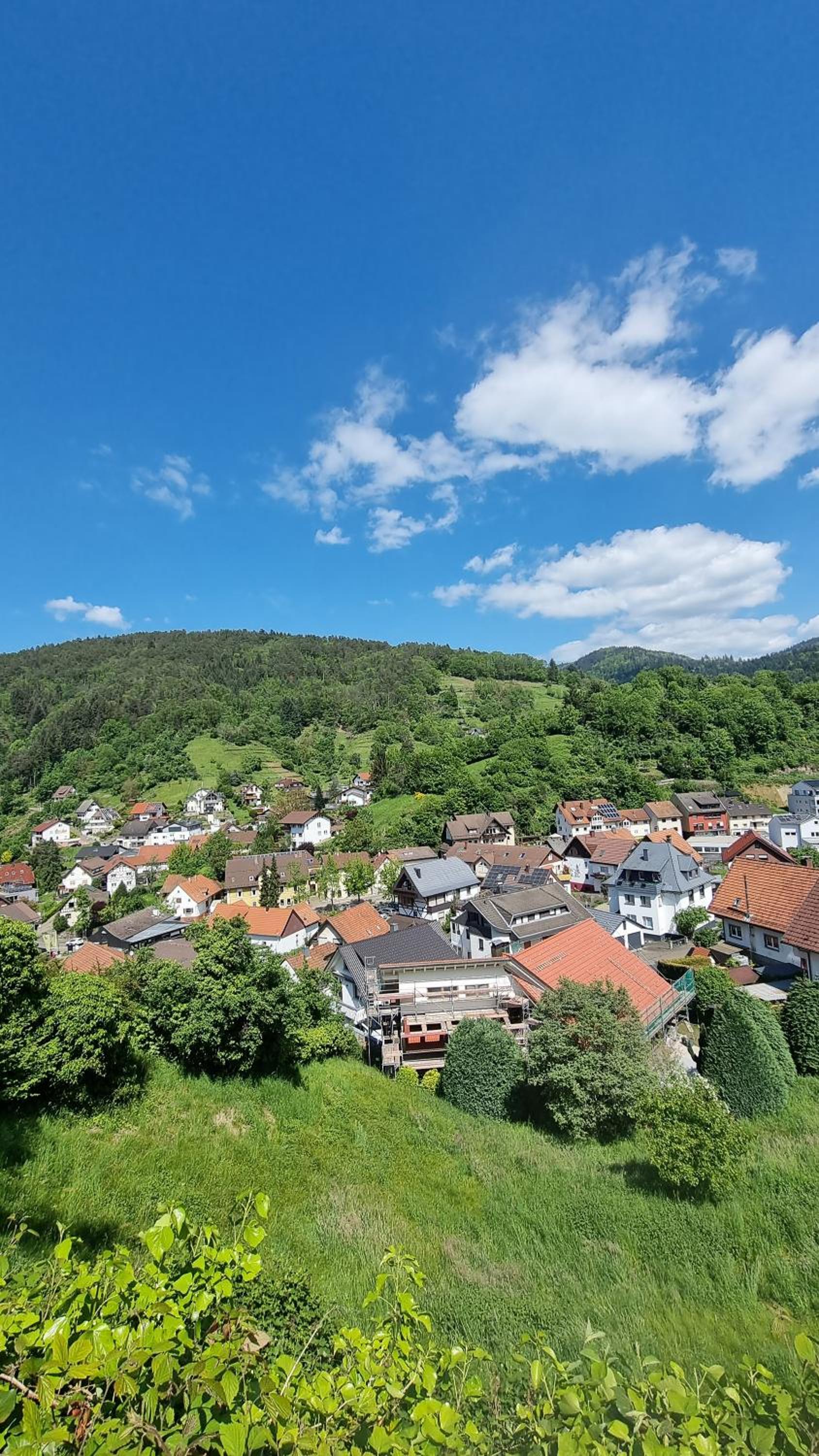 Ferienwohnungen Bühlertal