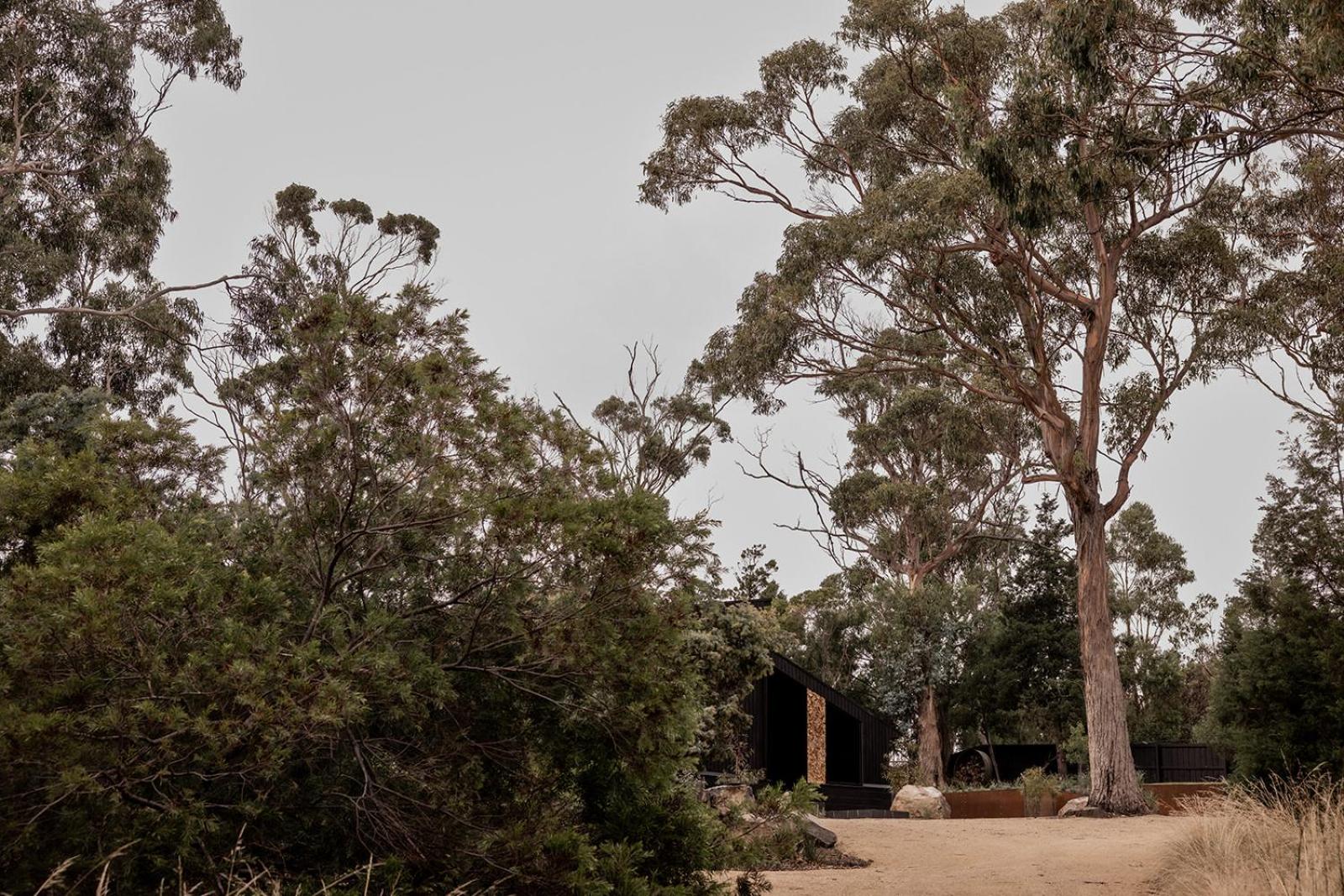 'Sisters=' - Cliff top cabin with hot tub
