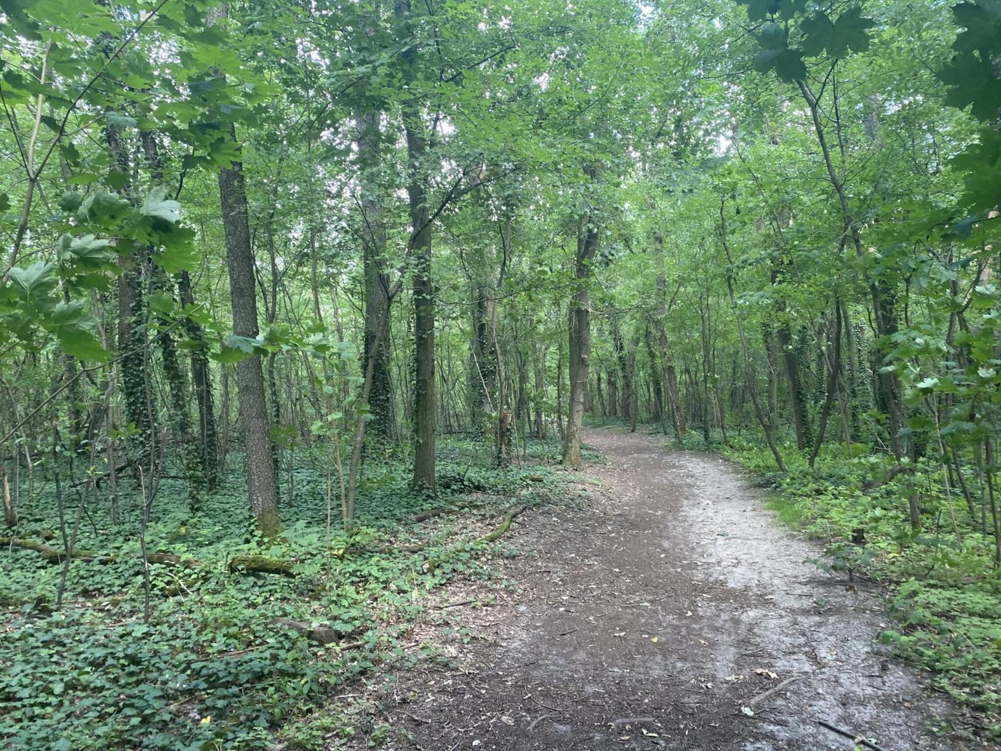Ferien am Berliner Mauerweg