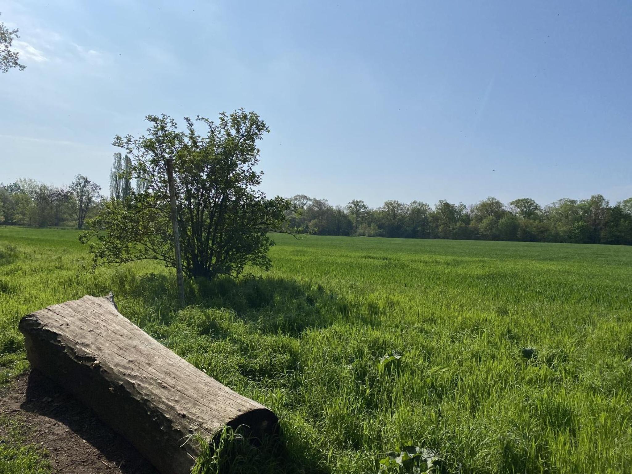 Ferien am Berliner Mauerweg