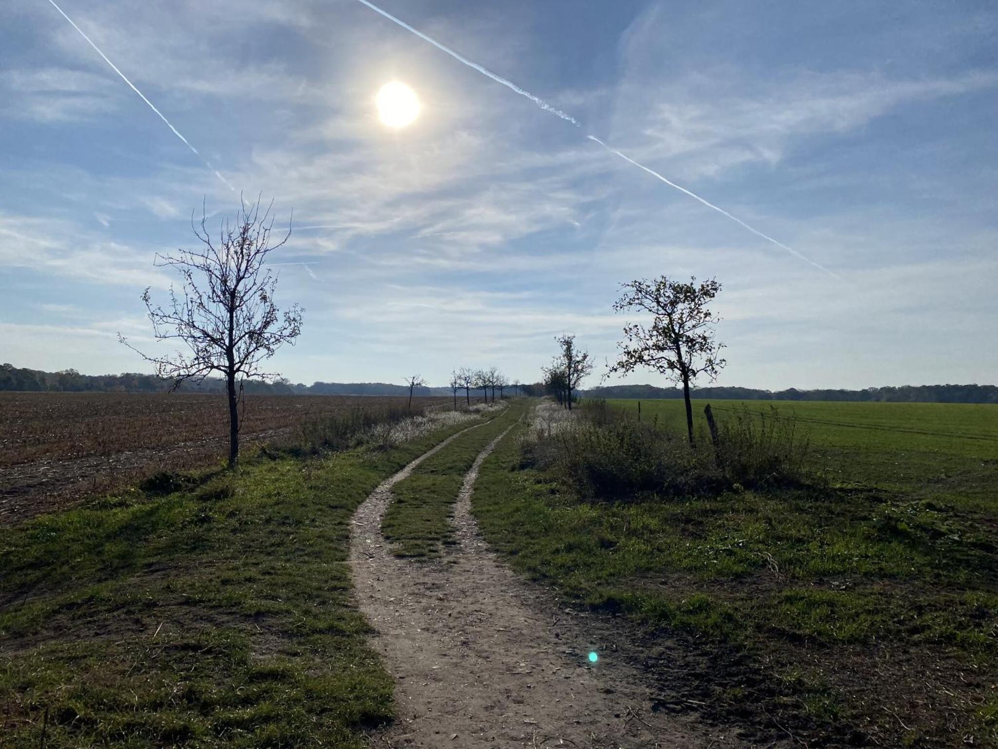 Ferien am Berliner Mauerweg
