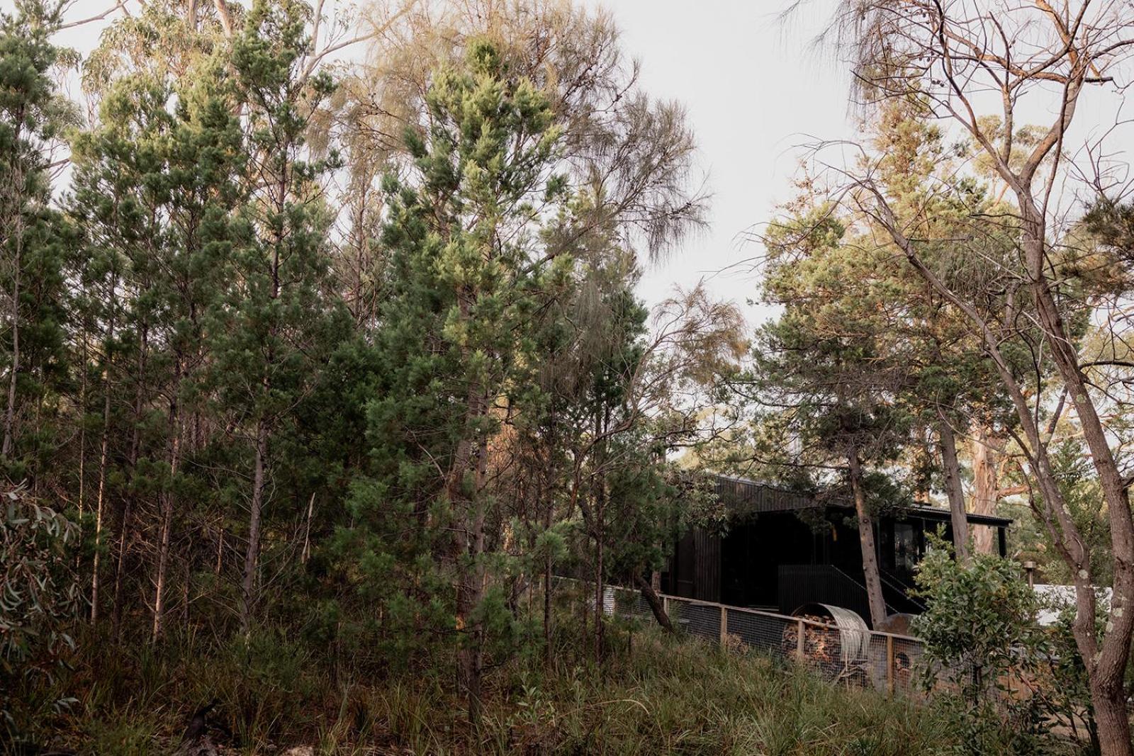 'Sisters=' - Cliff top cabin with hot tub