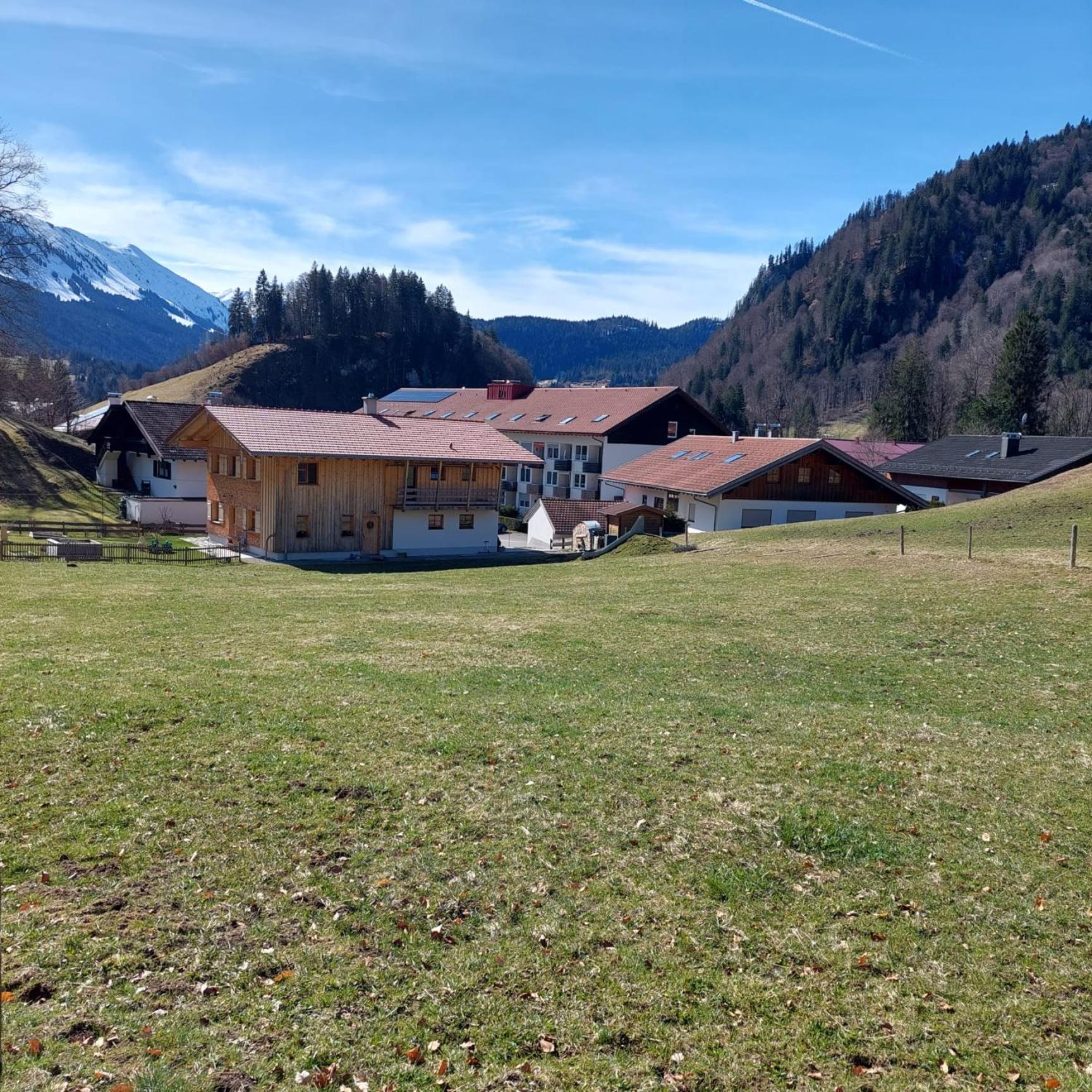 Apartment Senta