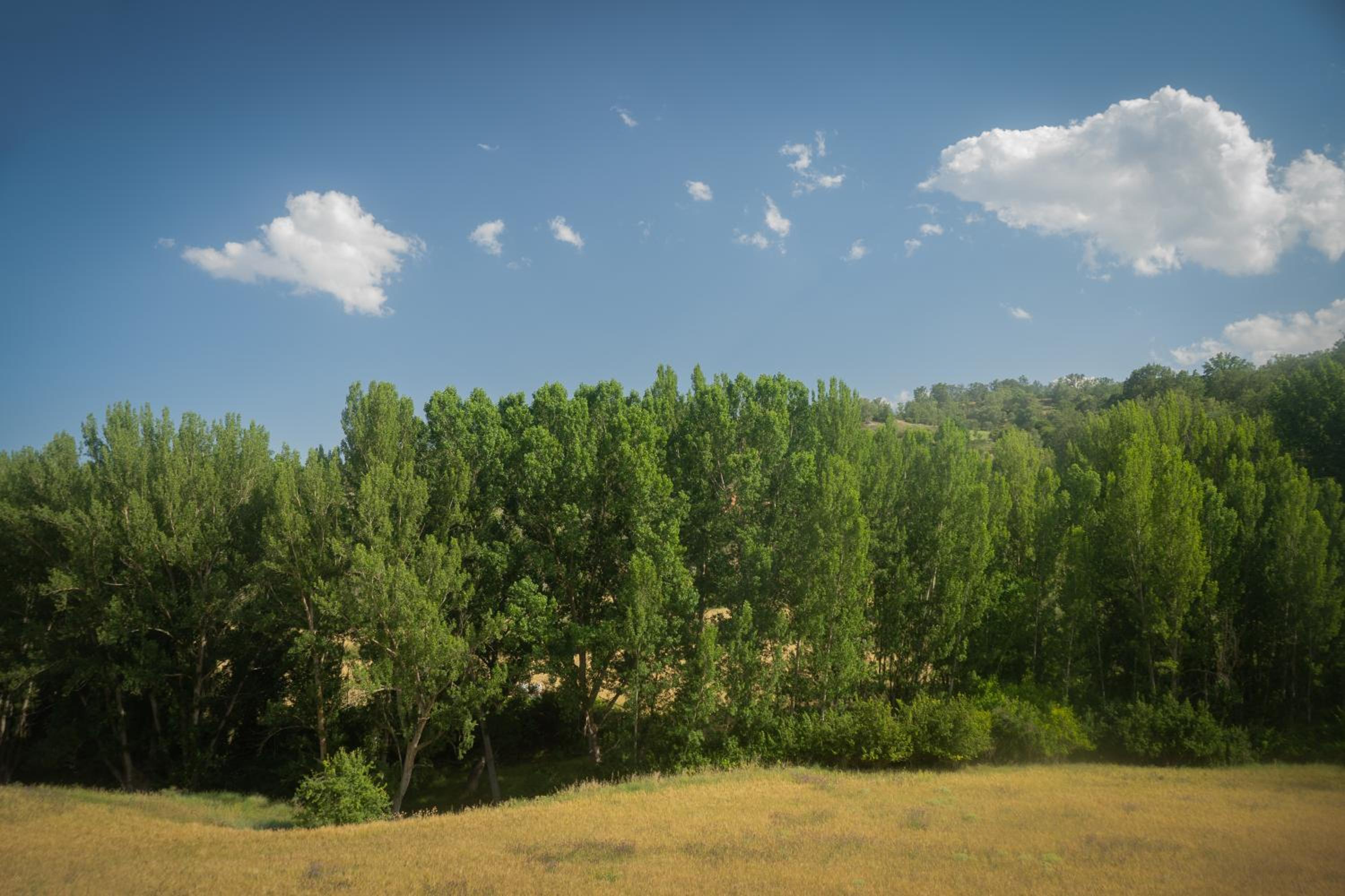 Casa Rural Mayoral (Barriopedro)