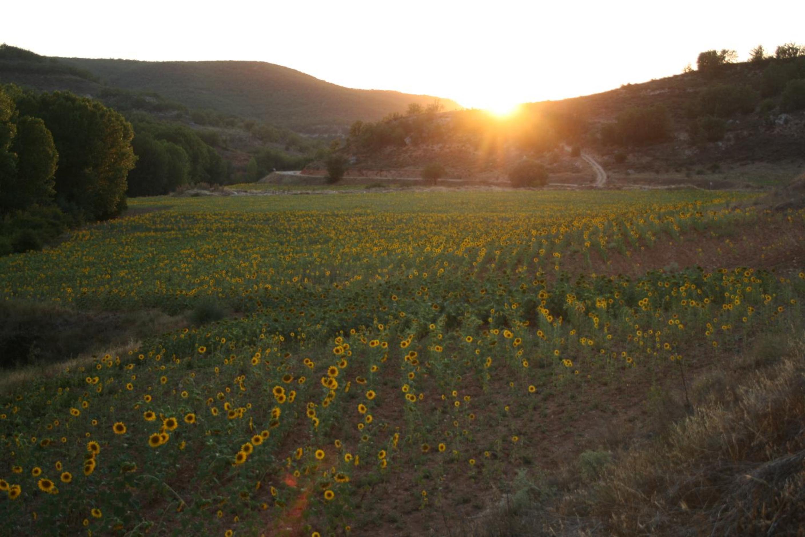 Casa Rural Mayoral (Barriopedro)