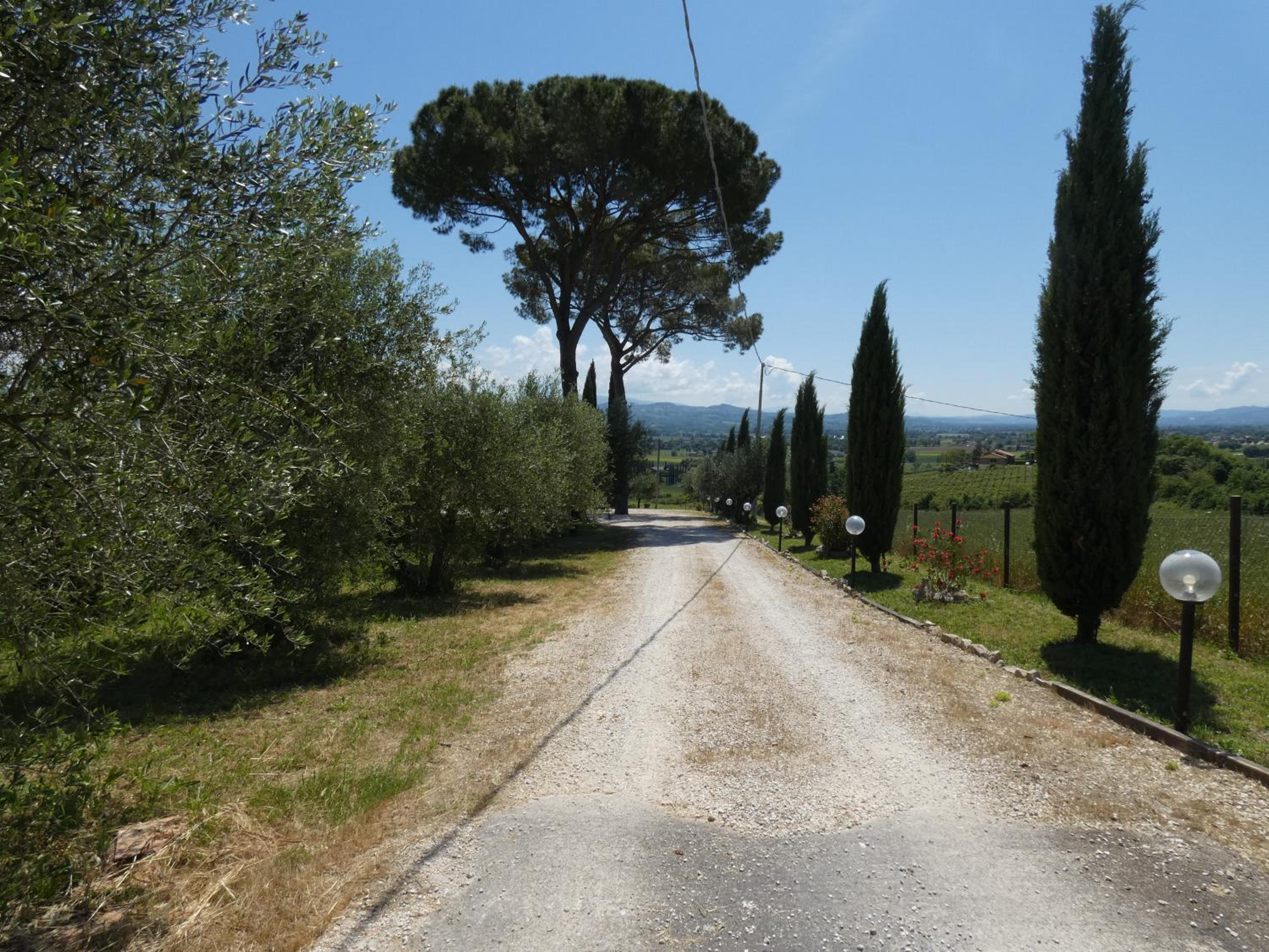 Casale delle stelle view 3