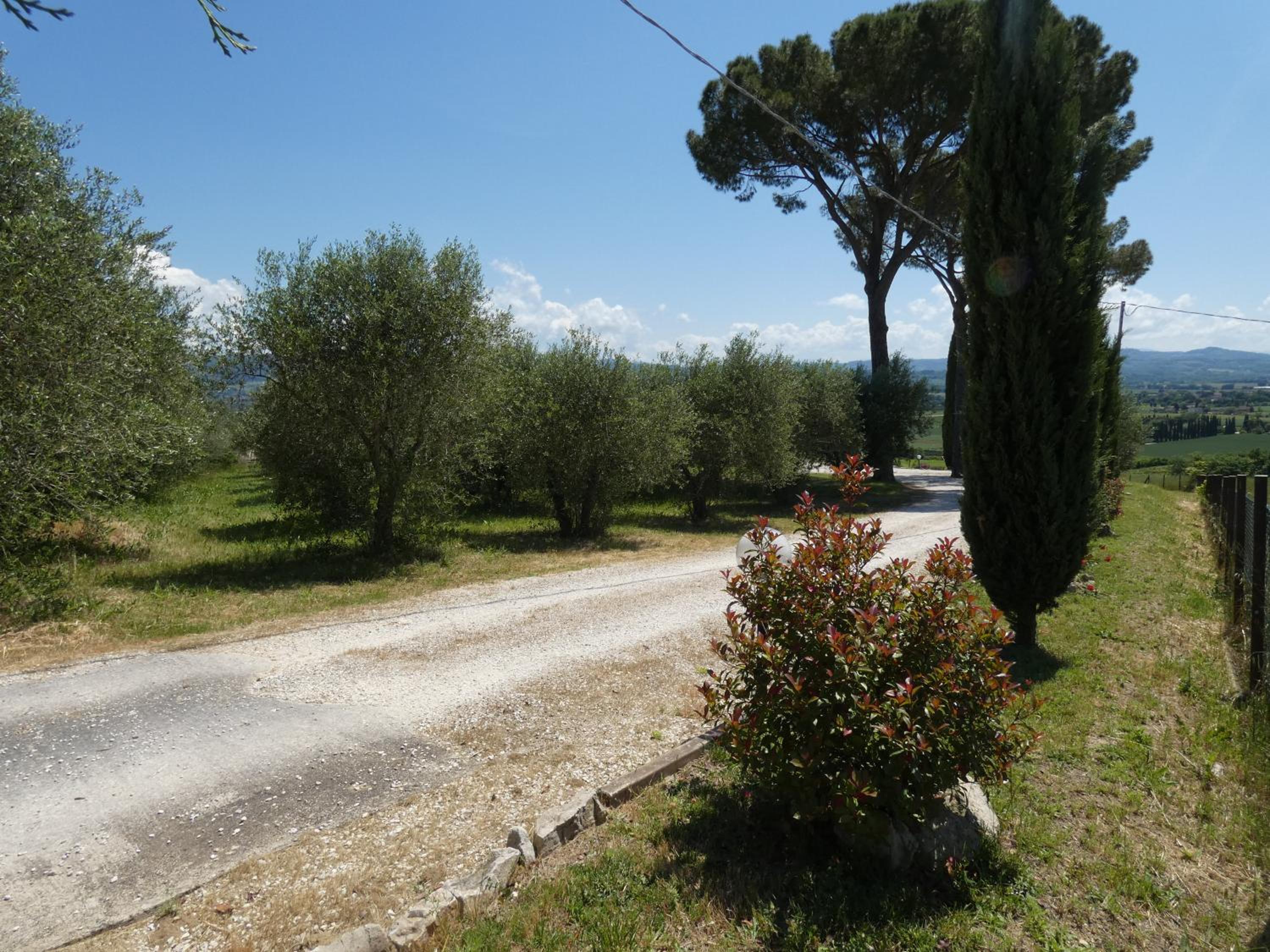 Photo 41