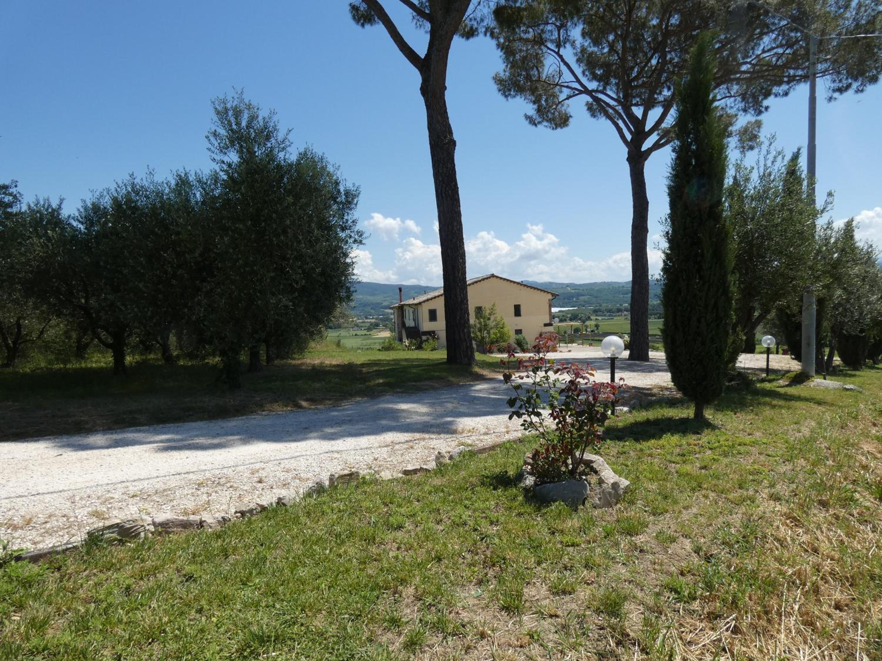 Photo 42