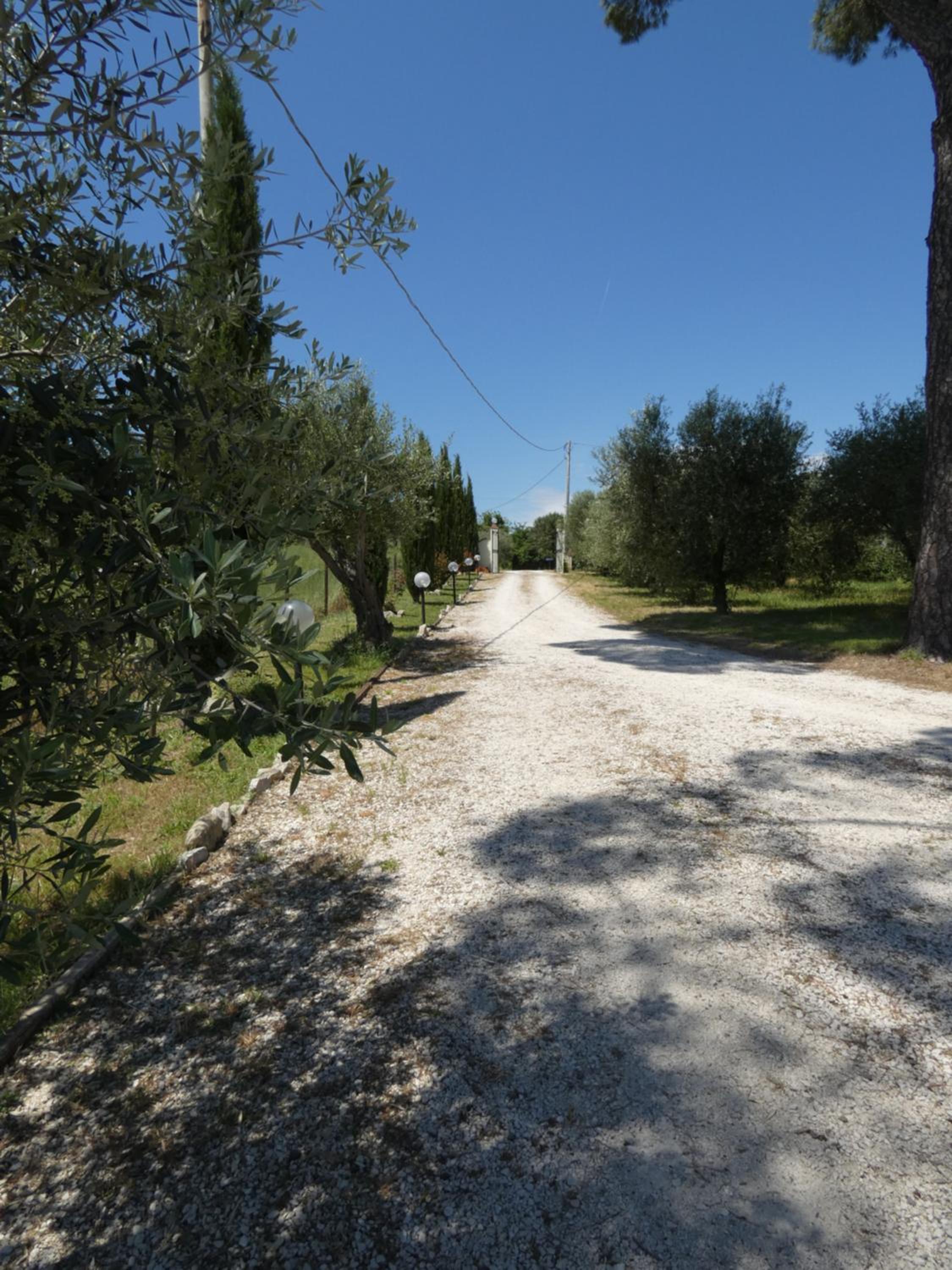 Photo 43