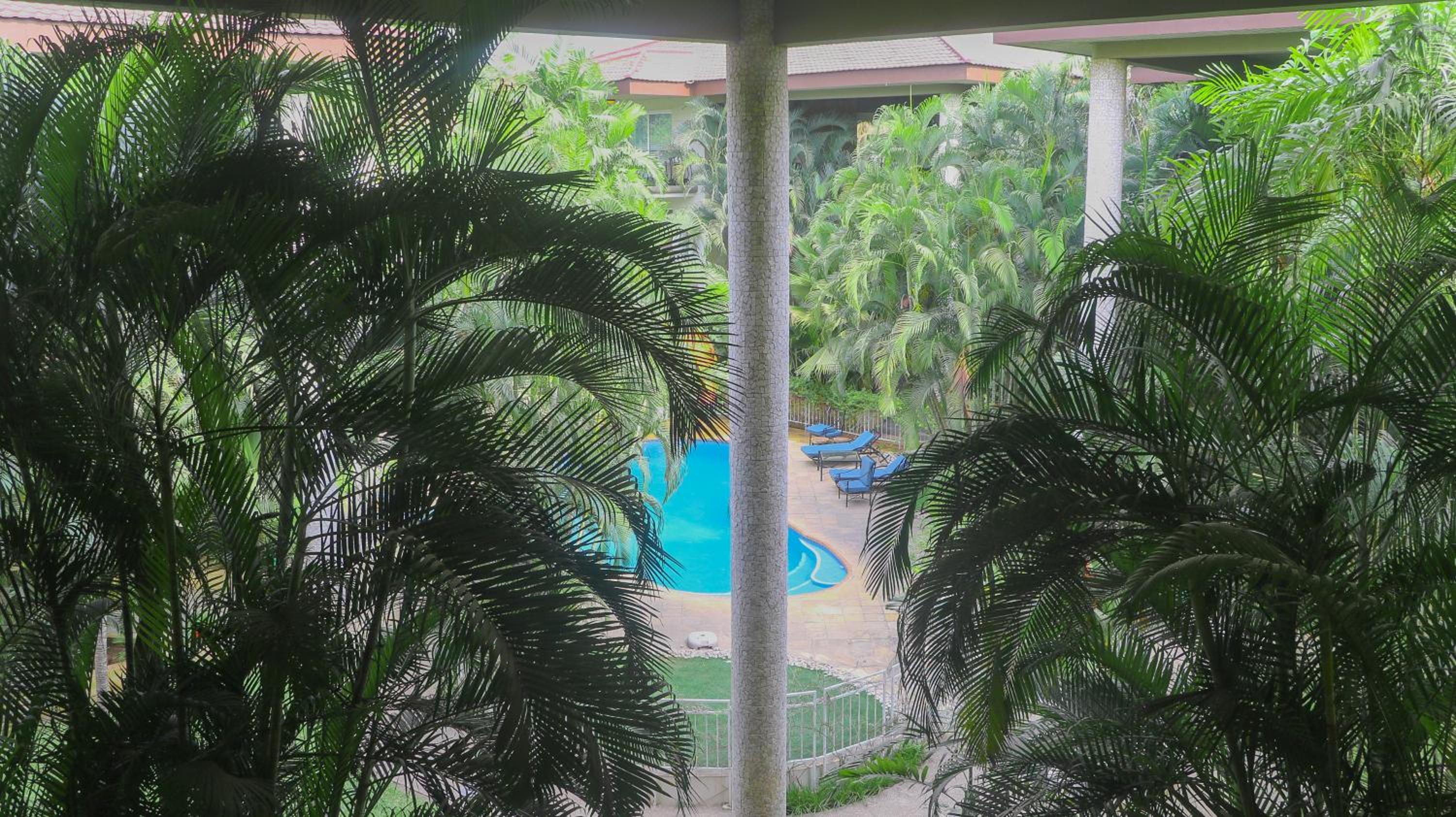 Palm Court Apartment