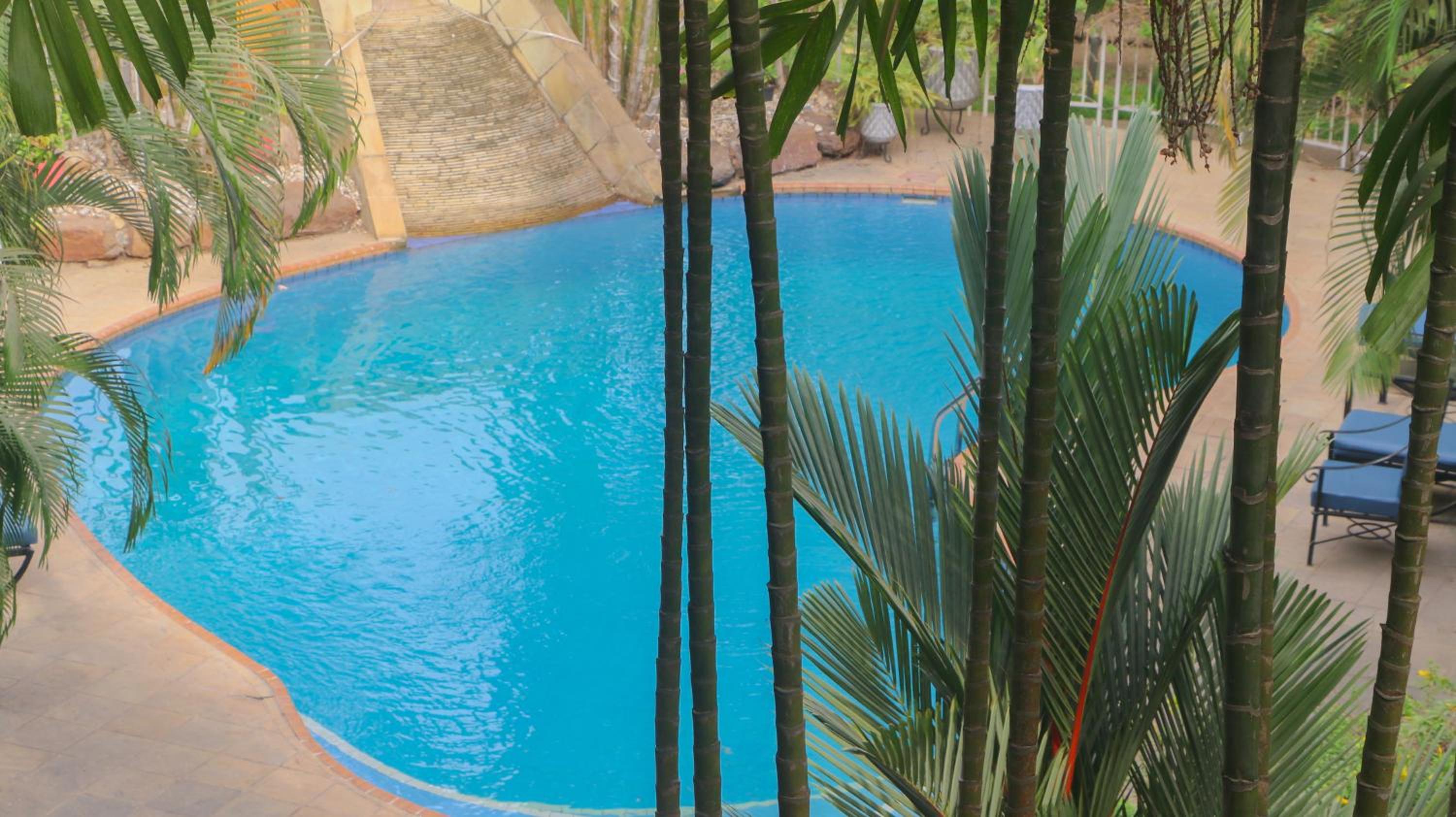 Palm Court Apartment