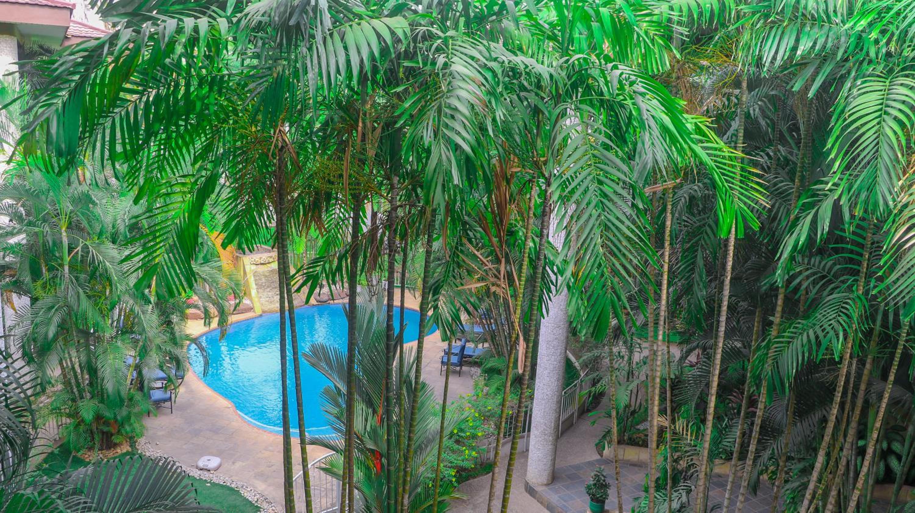 Palm Court Apartment