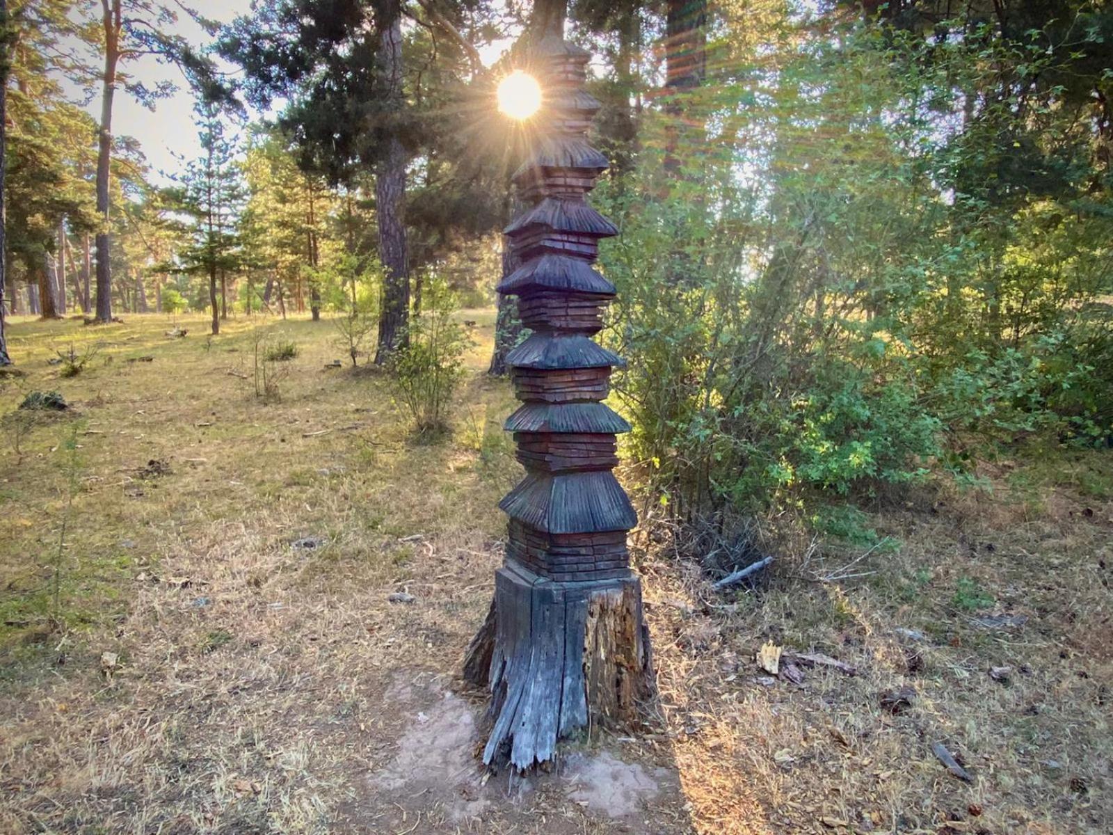 Albergue de Condemios de Arriba - Aventurarte