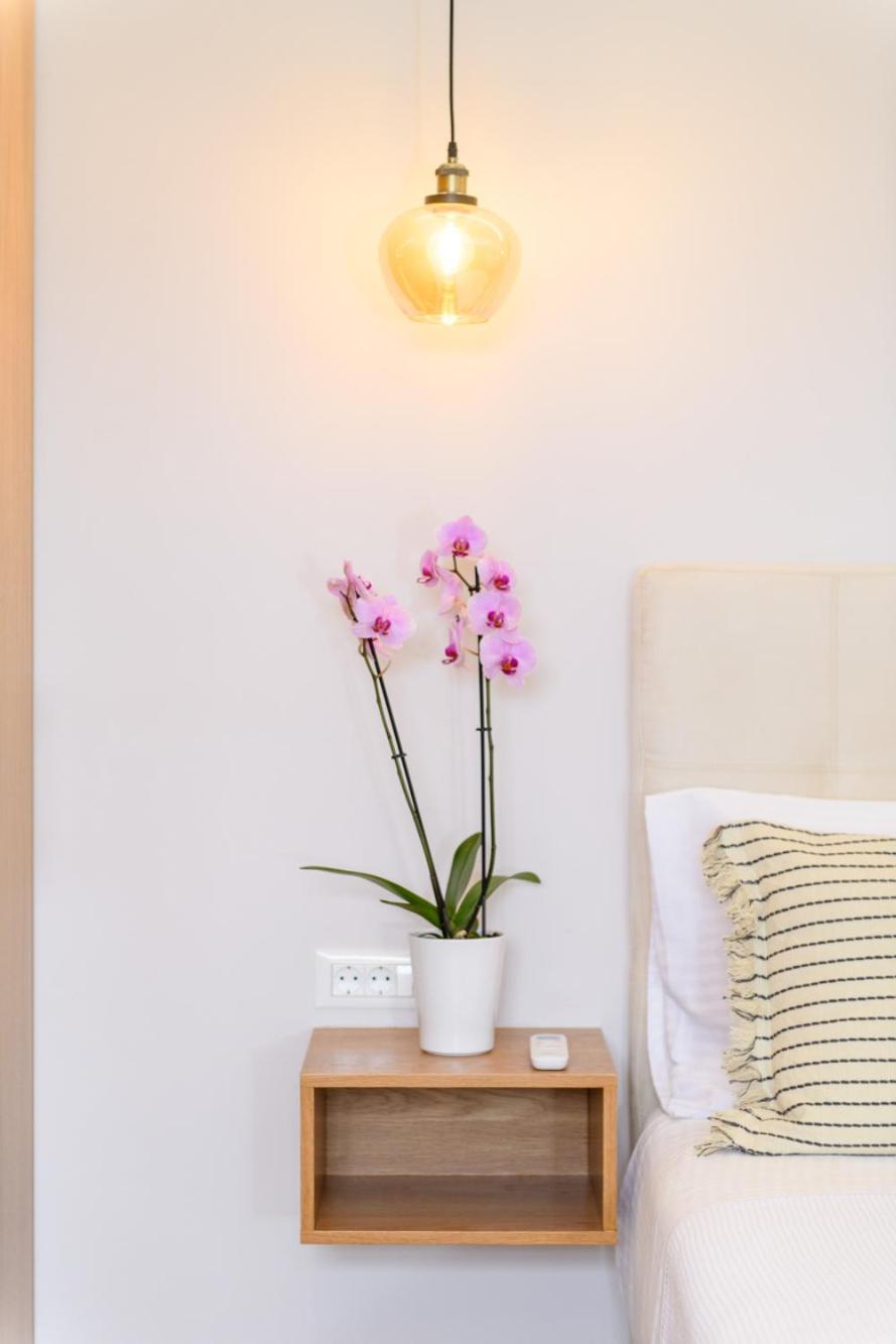 Olivia’s House photo 2