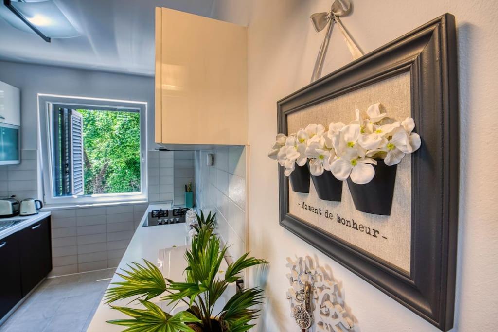 MASHA* * * dreamhome apart