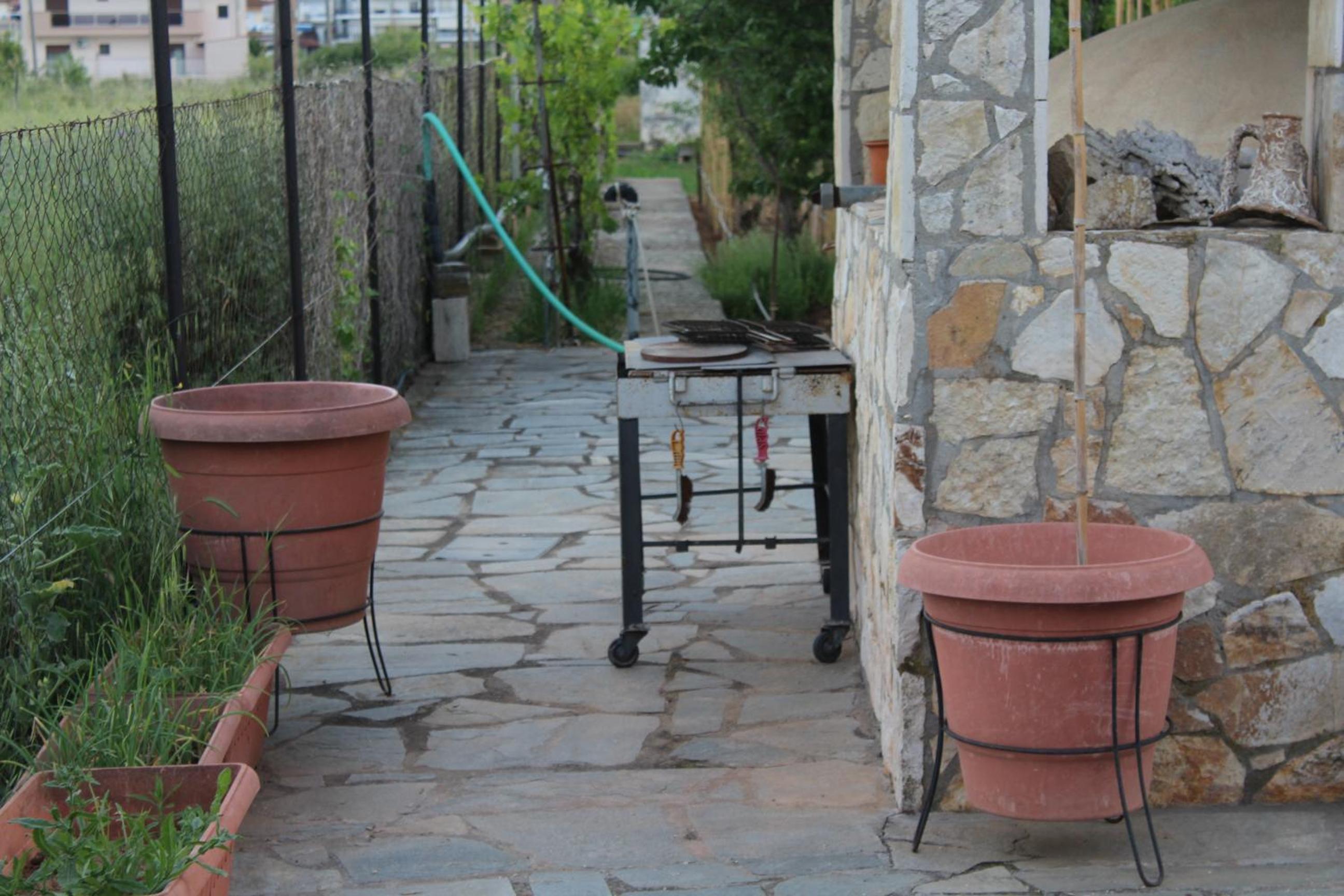 Photo 49