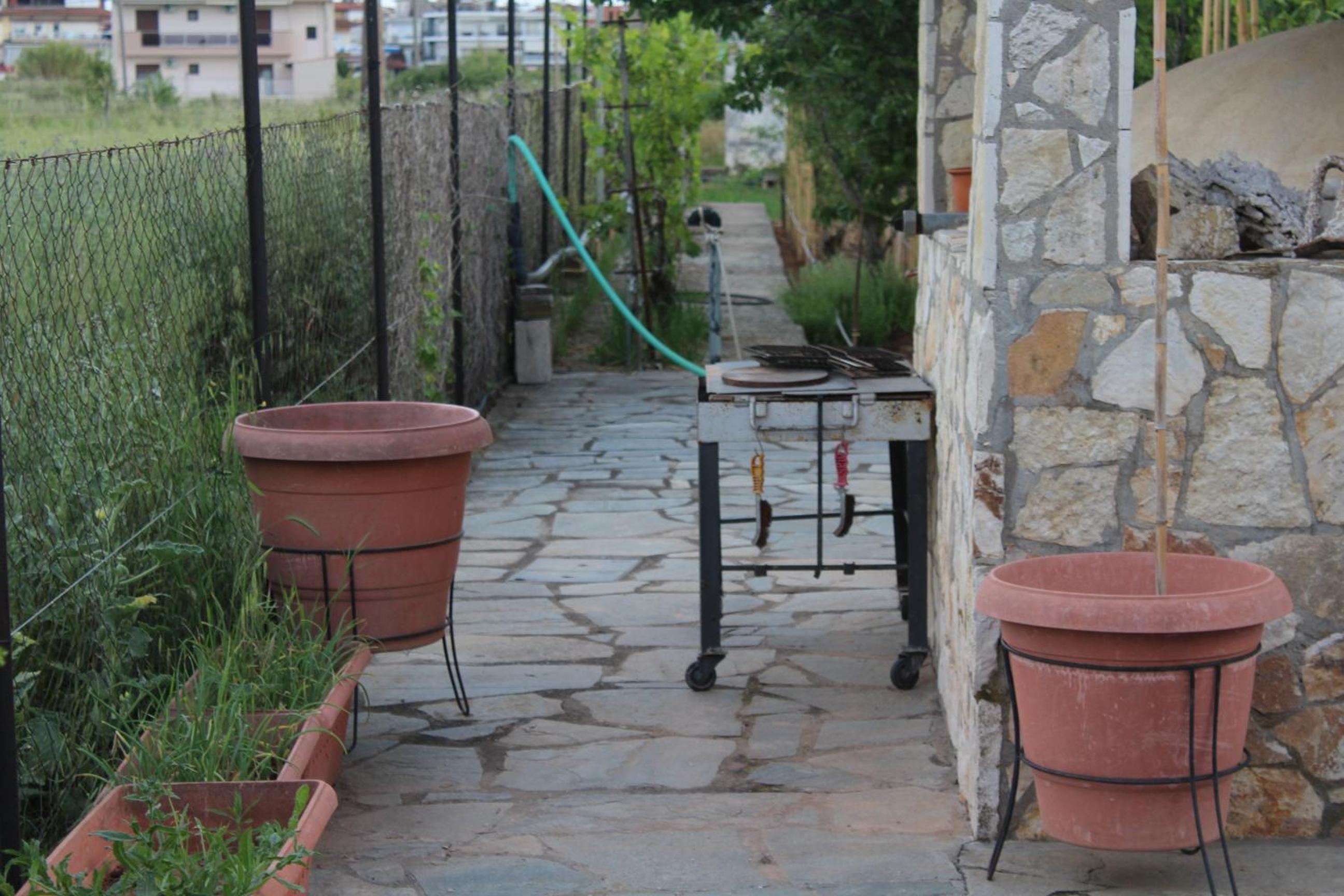 Photo 48