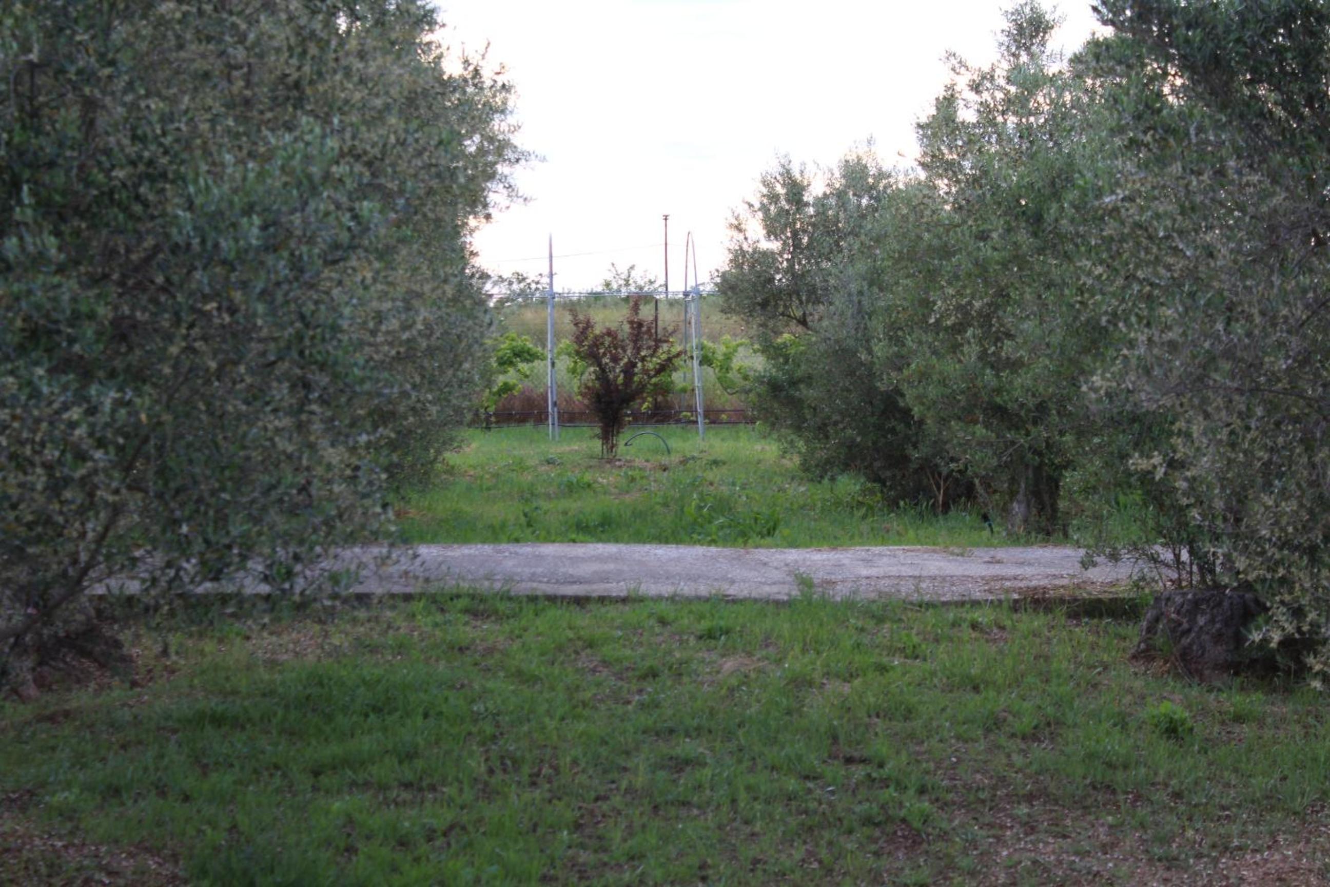 Photo 53