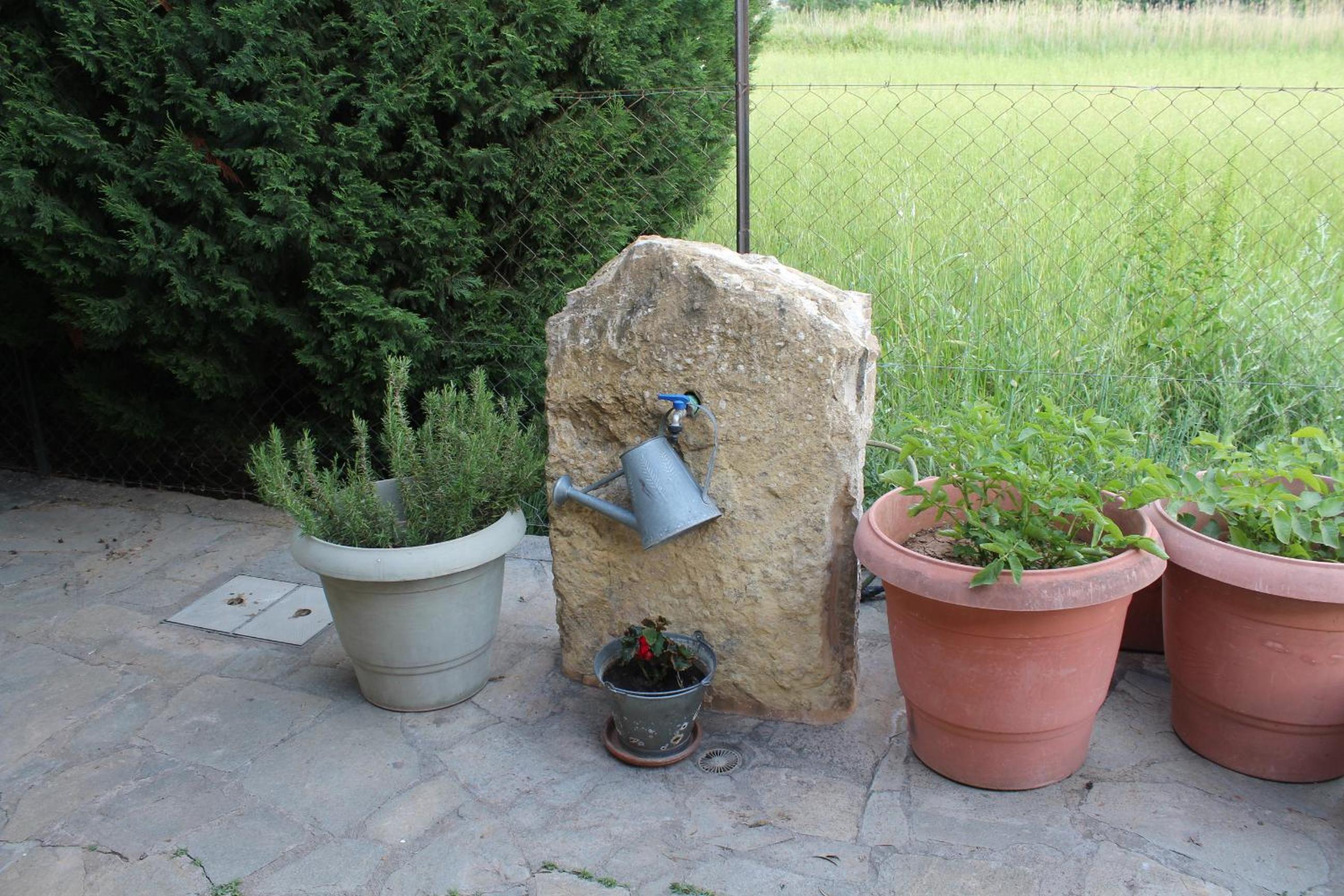 Photo 67