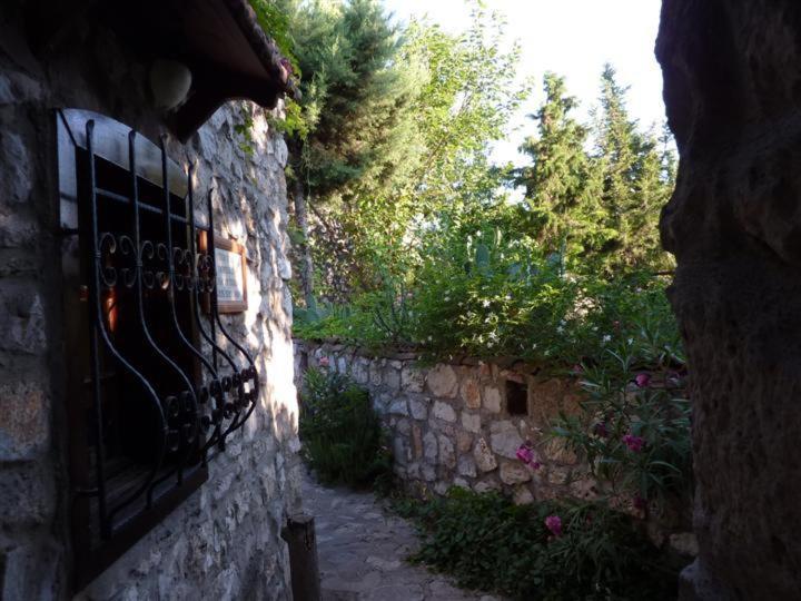Photo 34