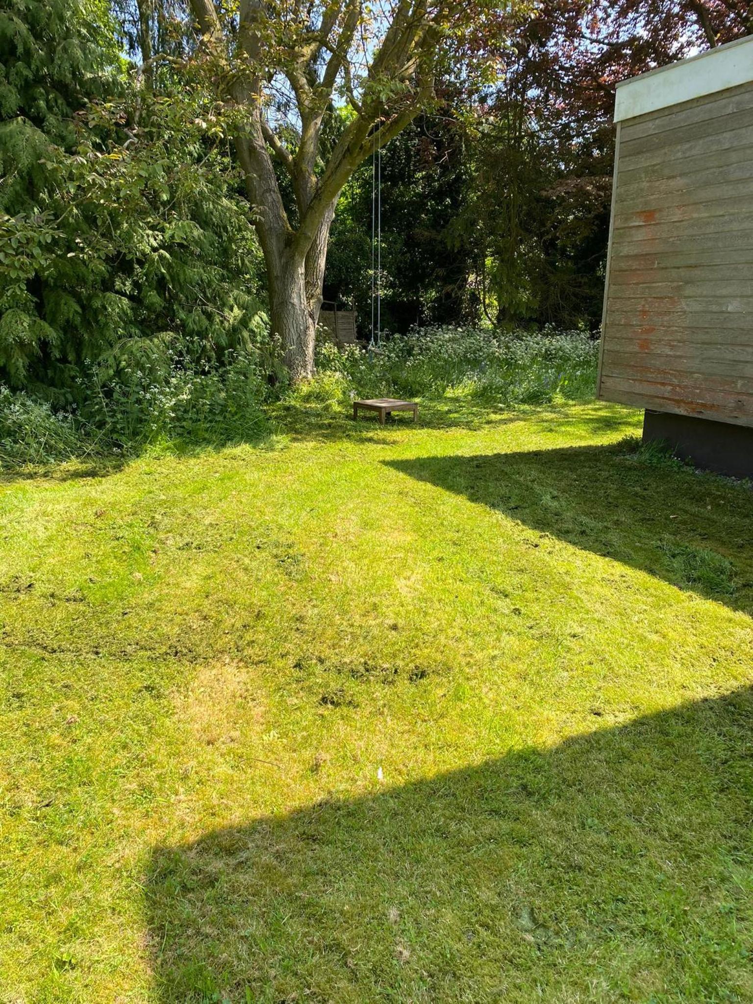 Photo 31